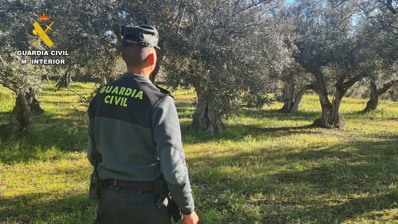 Fotografia jarandilla caceres