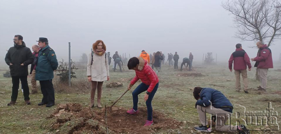 20022 01 12 visita dg tablas 01