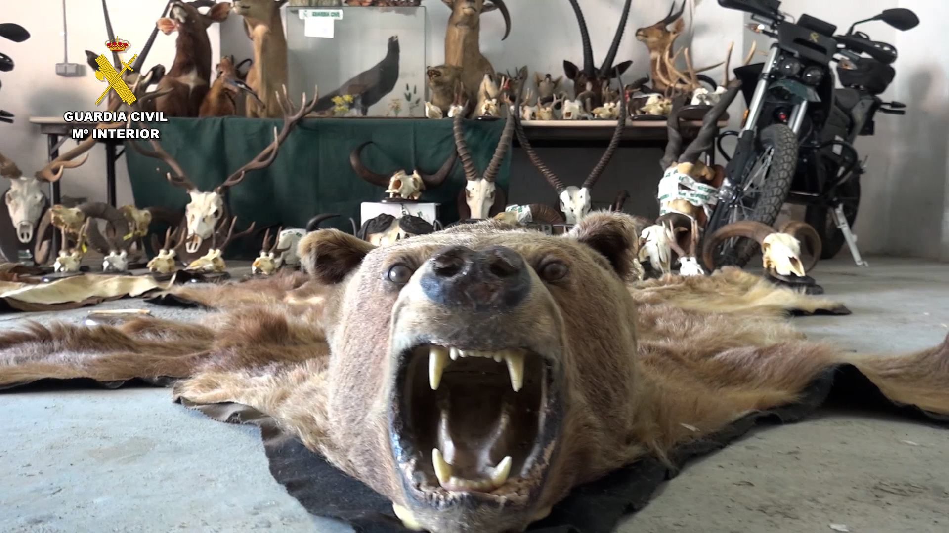 2023 08 19 op luria trofeos caza zaragoza 01