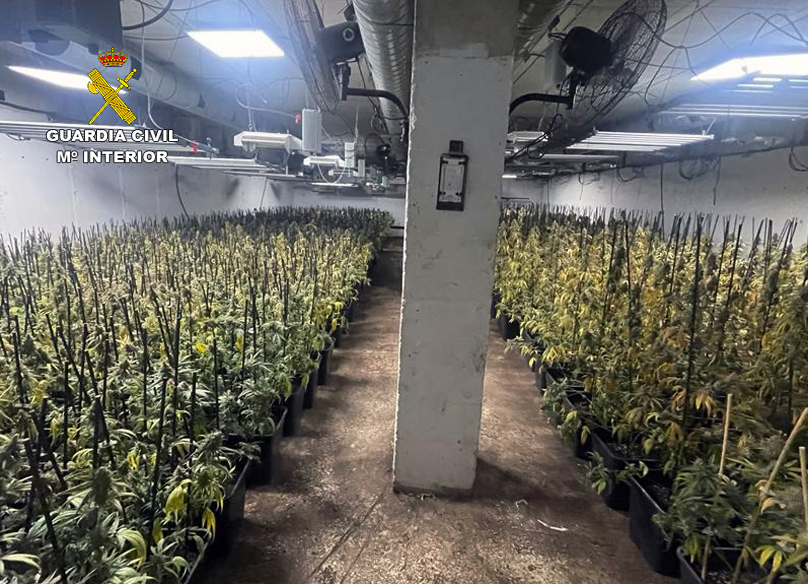 20230619 OP BRUSINN MARIHUANA MURCIA 01