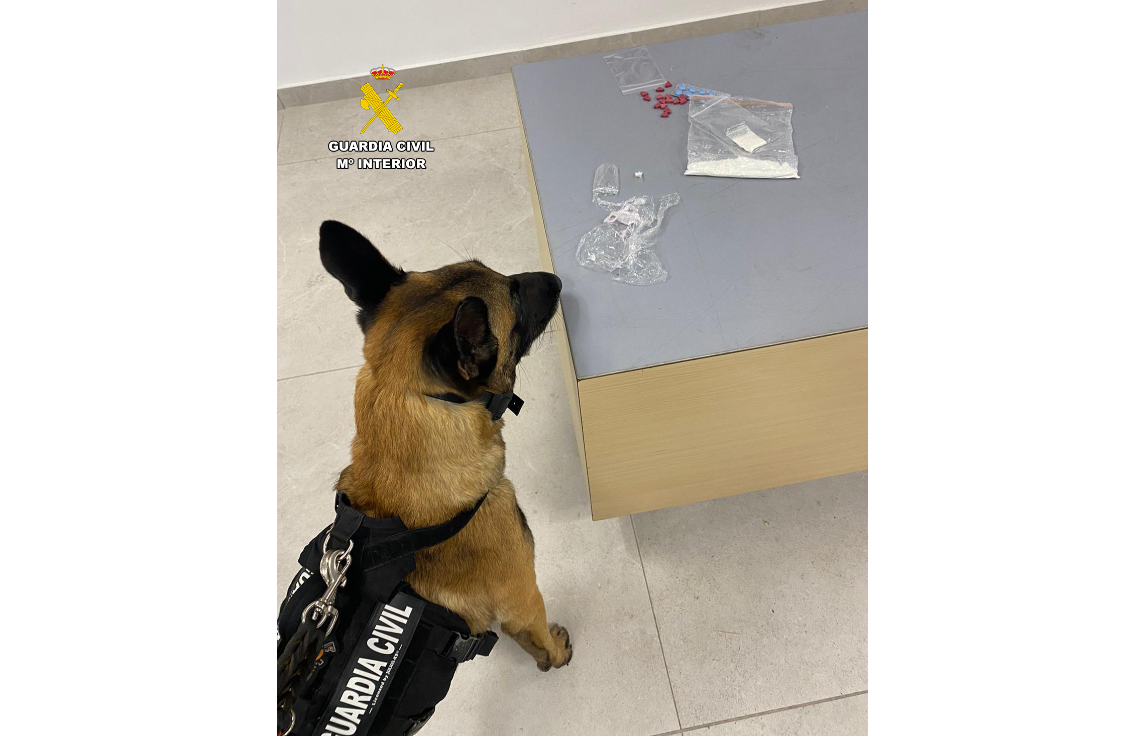 20230821 droga ahzarus