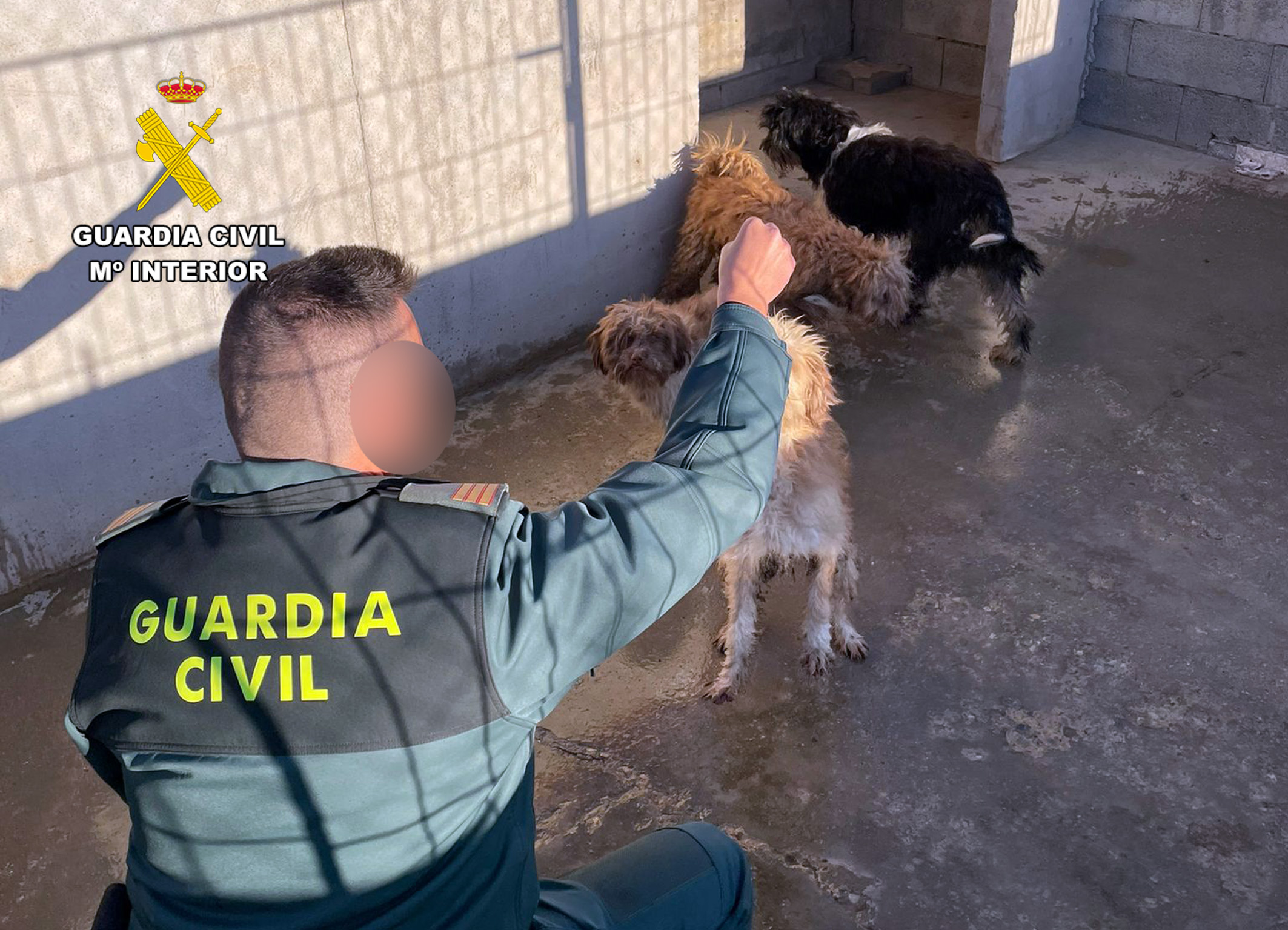 20240119 INVESTIGADOS MALTRATO ANIMAL PPN AGUILAS 01