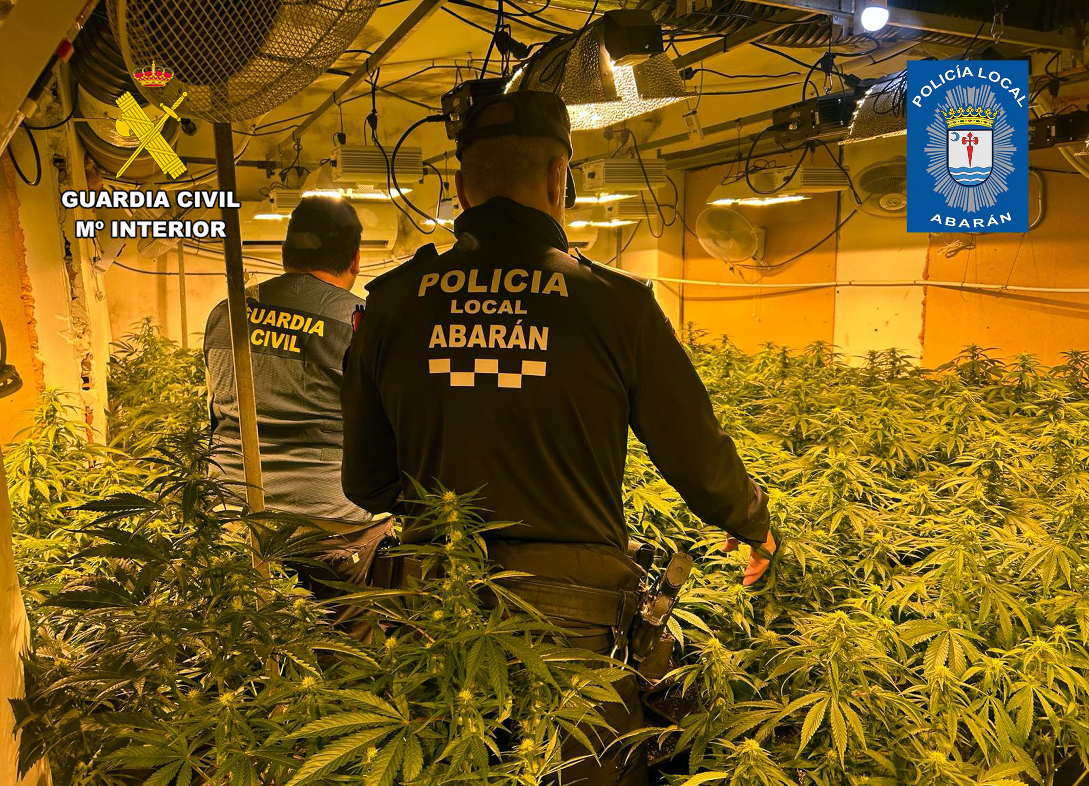 20240302 DETENIDOS MARIHUANA ABARAN ARCHENA GC Y PL 02