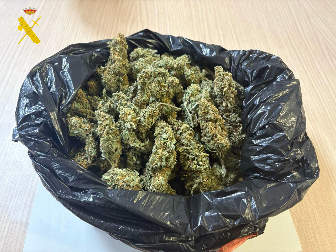 2025 11 17 Bolsa marihuana