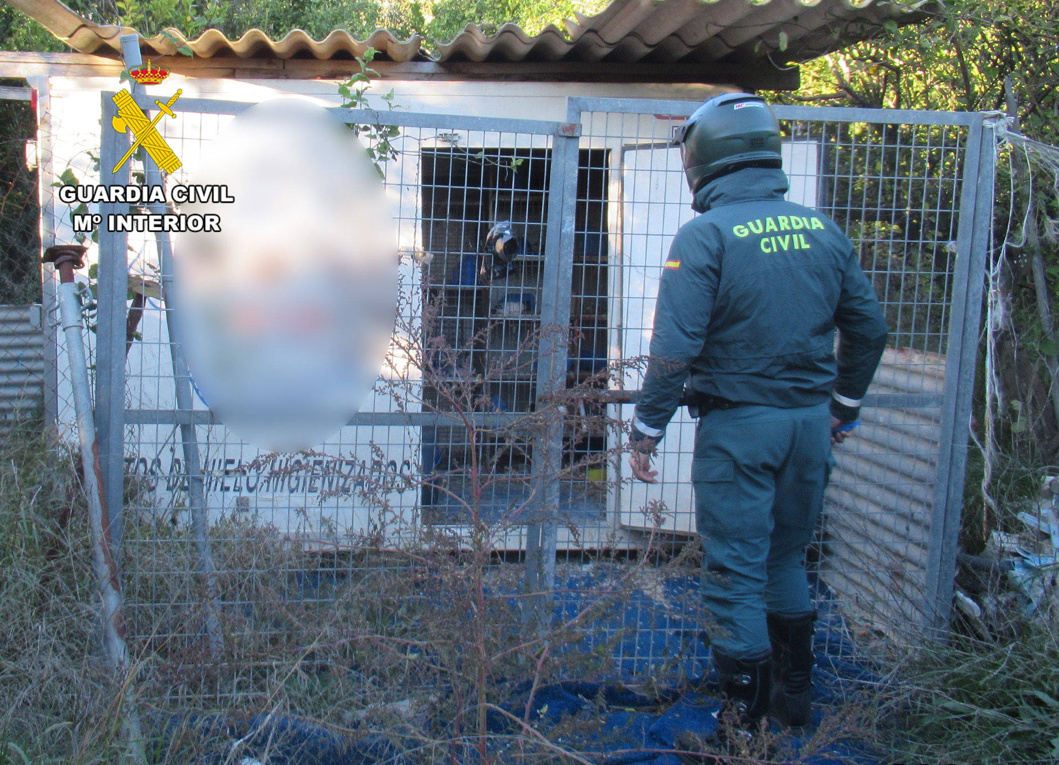20251221 INVESTIGADO ABANDONO ANIMAL PALOMOS DEPORTIVOS MURCIA SPN 01