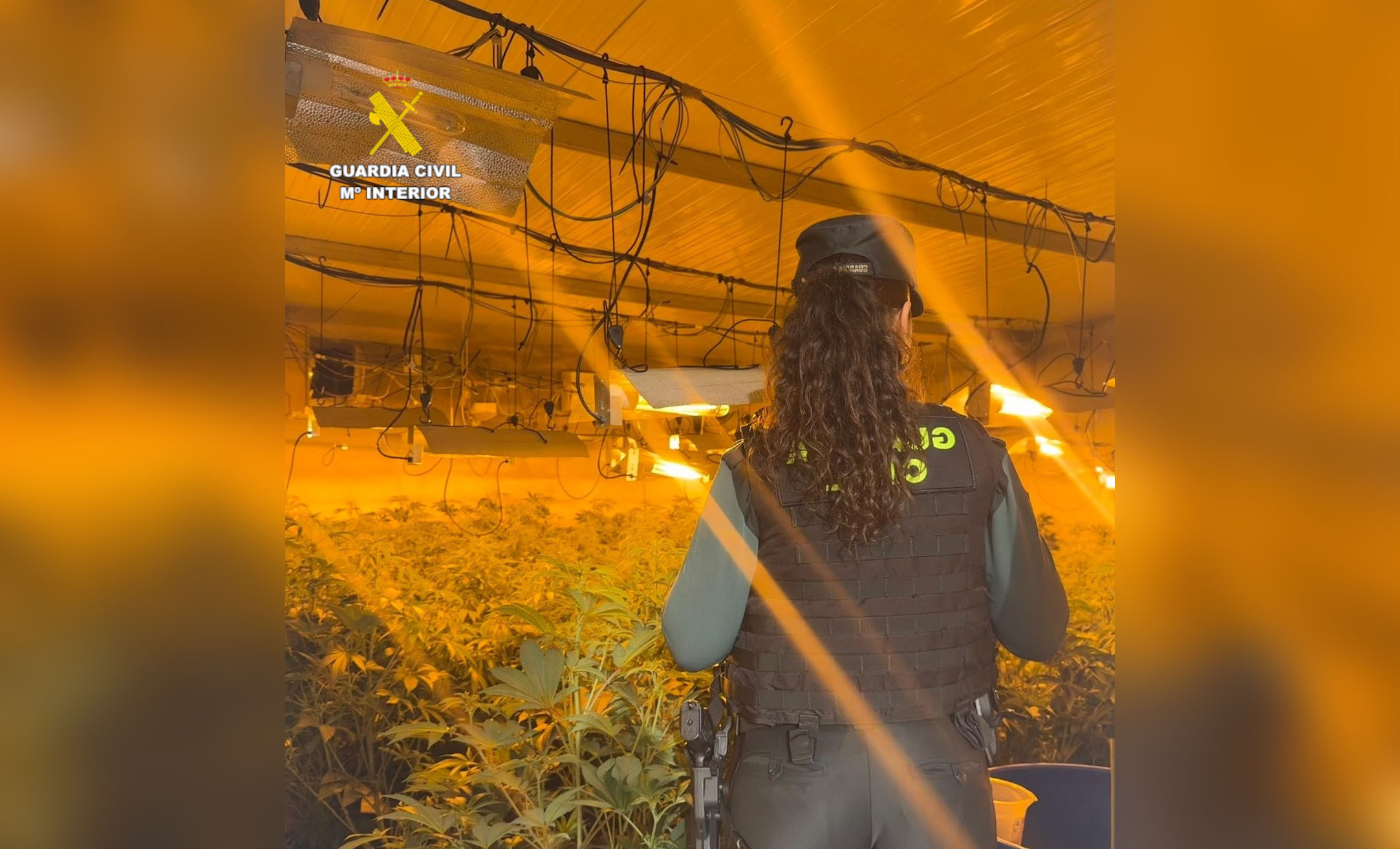 20260415 Benicarló plantanción