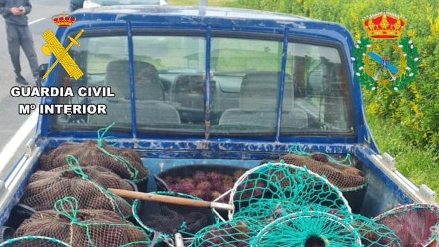 BERBERECHOS LA CORUÑA