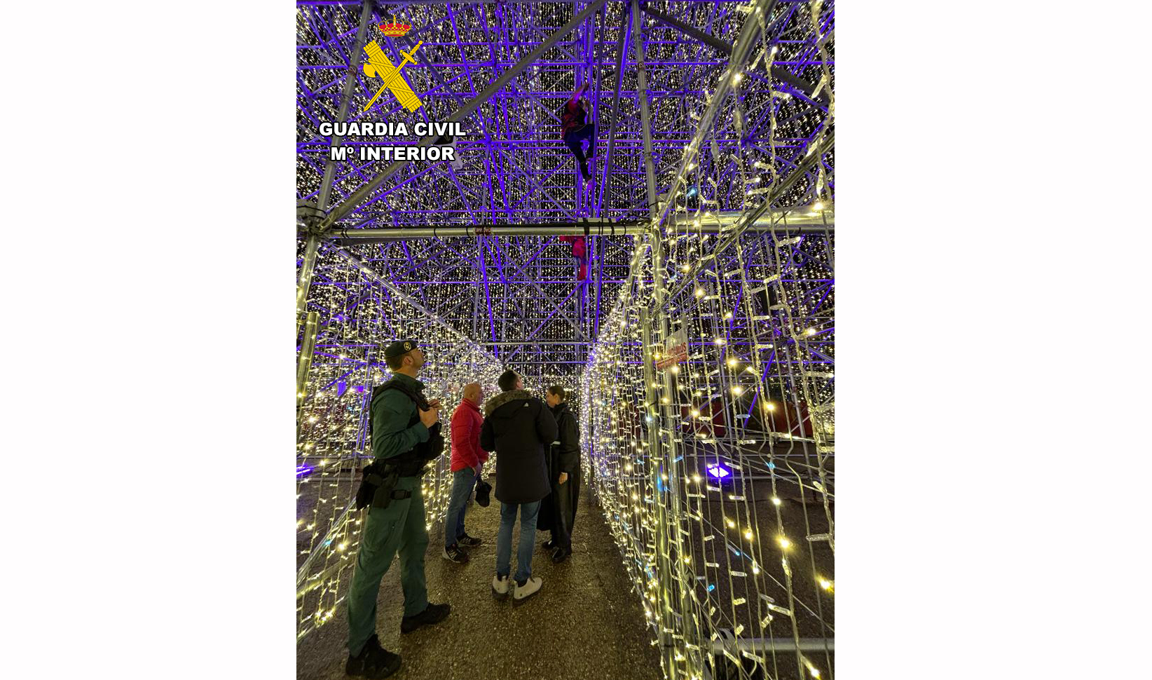 Dron arbol