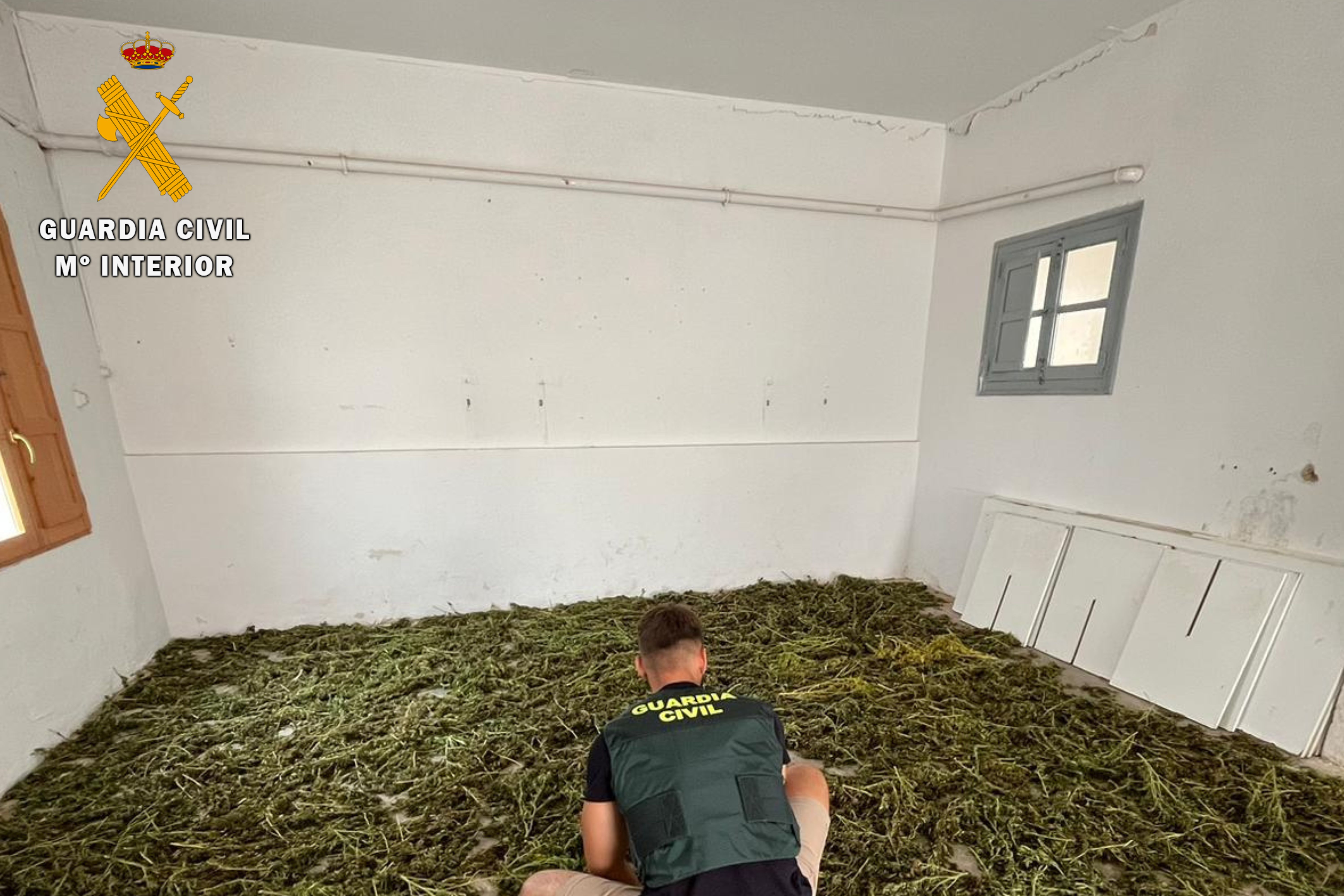 1 plantacion.zaragoza