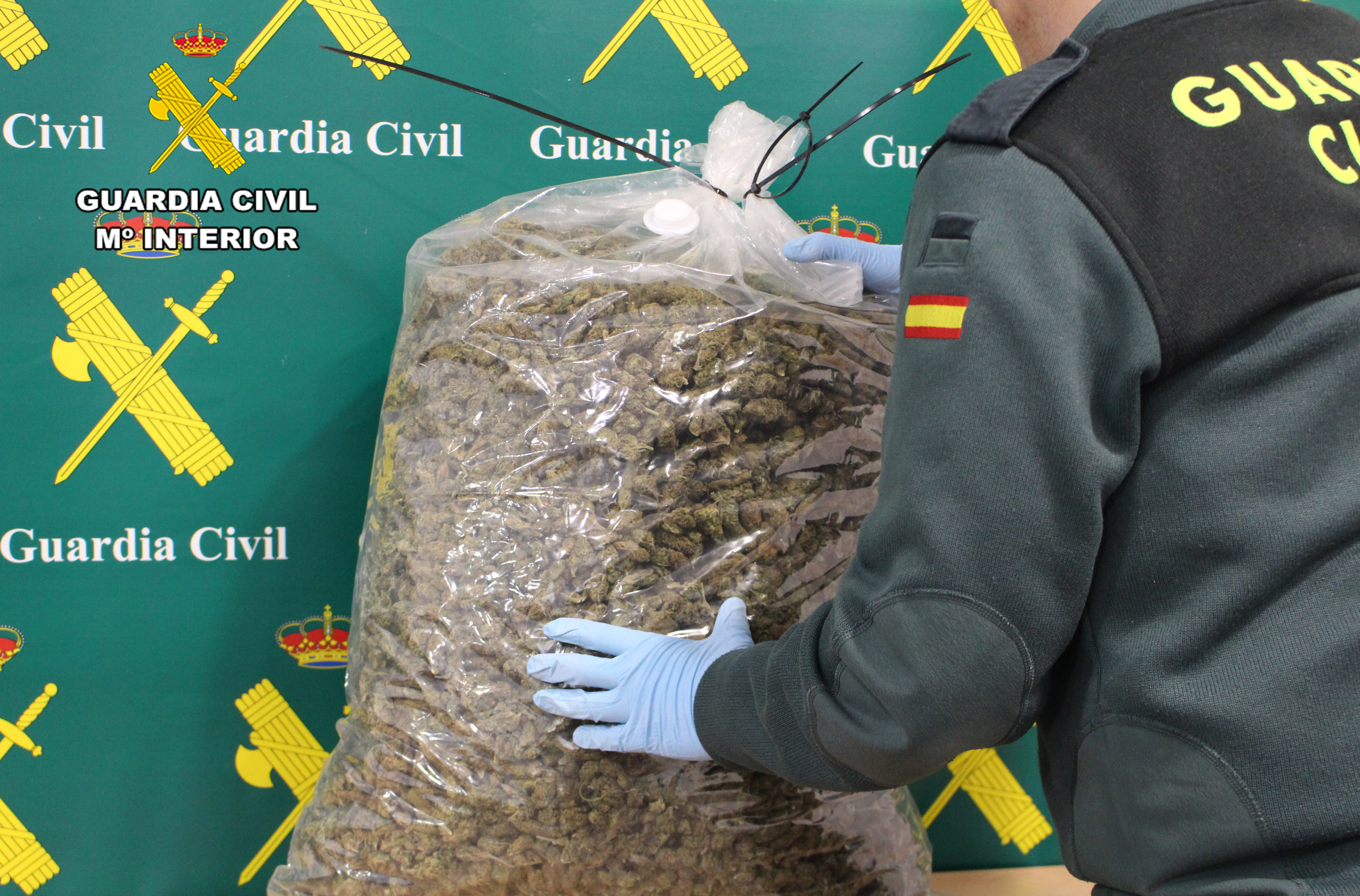 10 k marihuana
