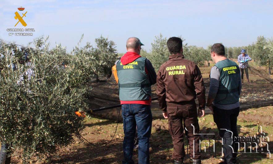 2 ROCA ROBOS EXPLOTACIONES AGRICOLAS Y GANADERAS