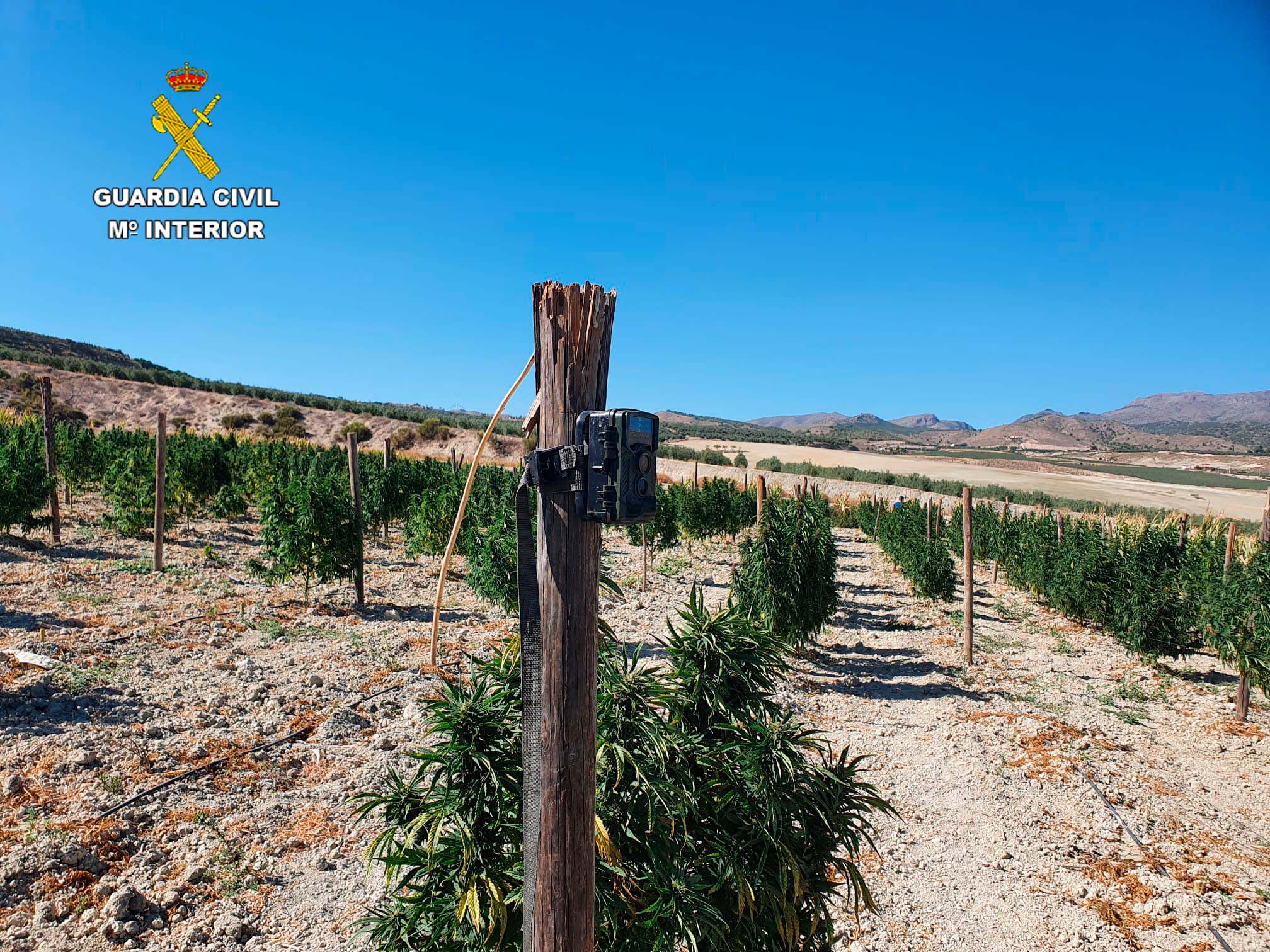 2022 04 18 Op Indalo 85 almeria 01