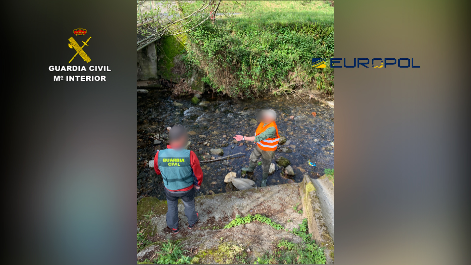 2022 04 22 balance seprona 02