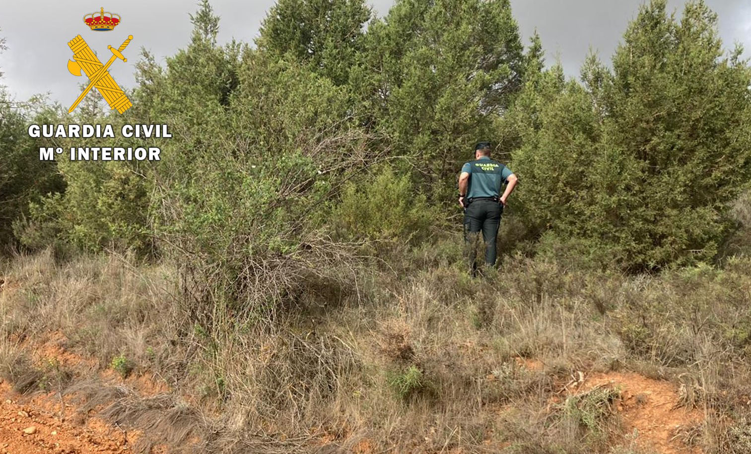 20220524DESAPARECIDO NEBREDA paraje del hallazgo