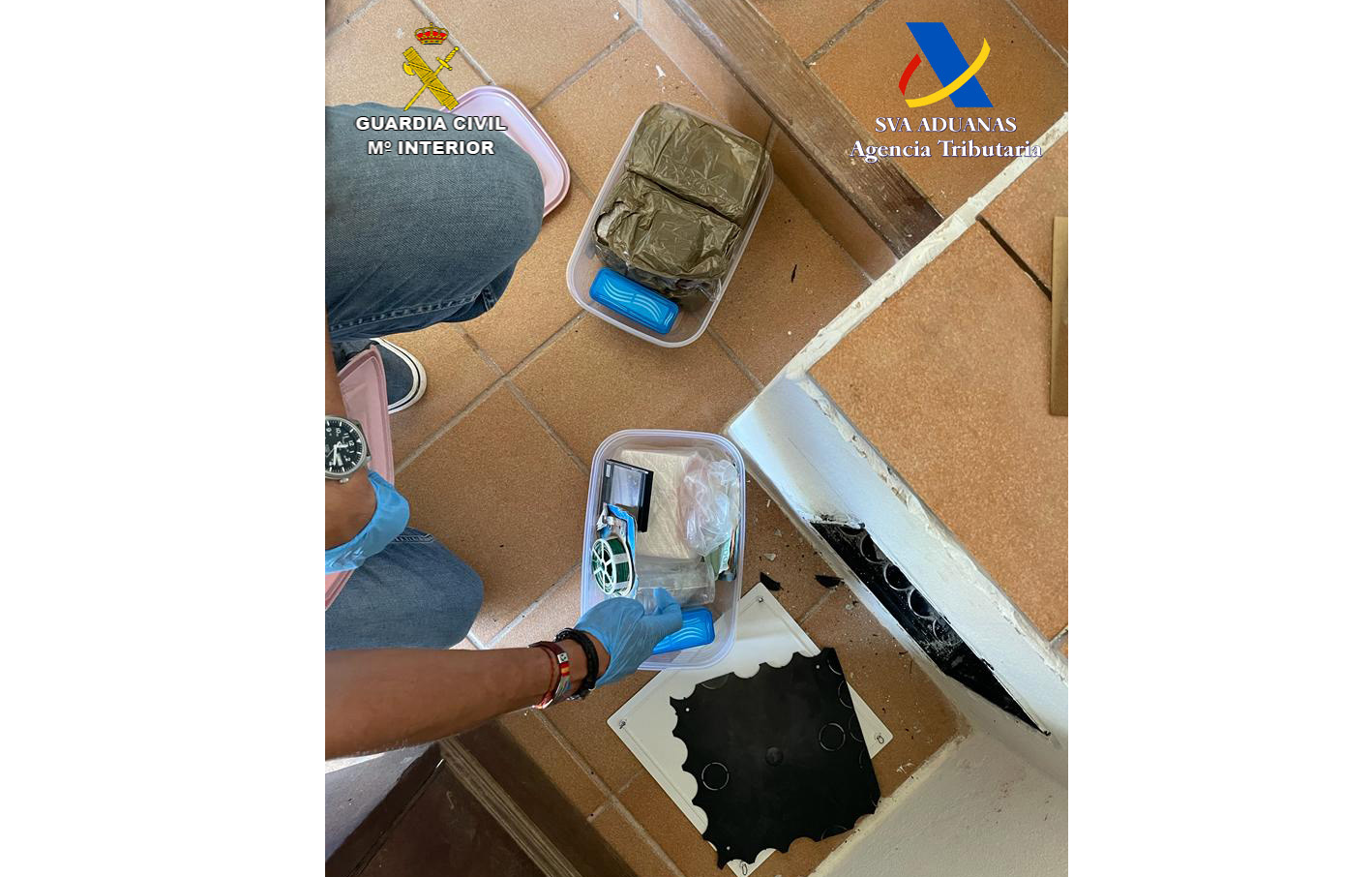 20220617 op equestris dava