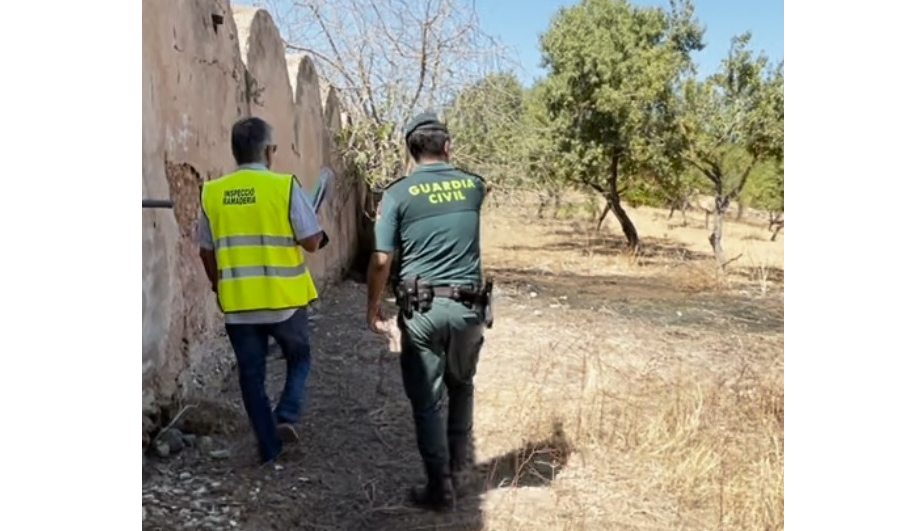 20220710 seprona inspeccion conjunta