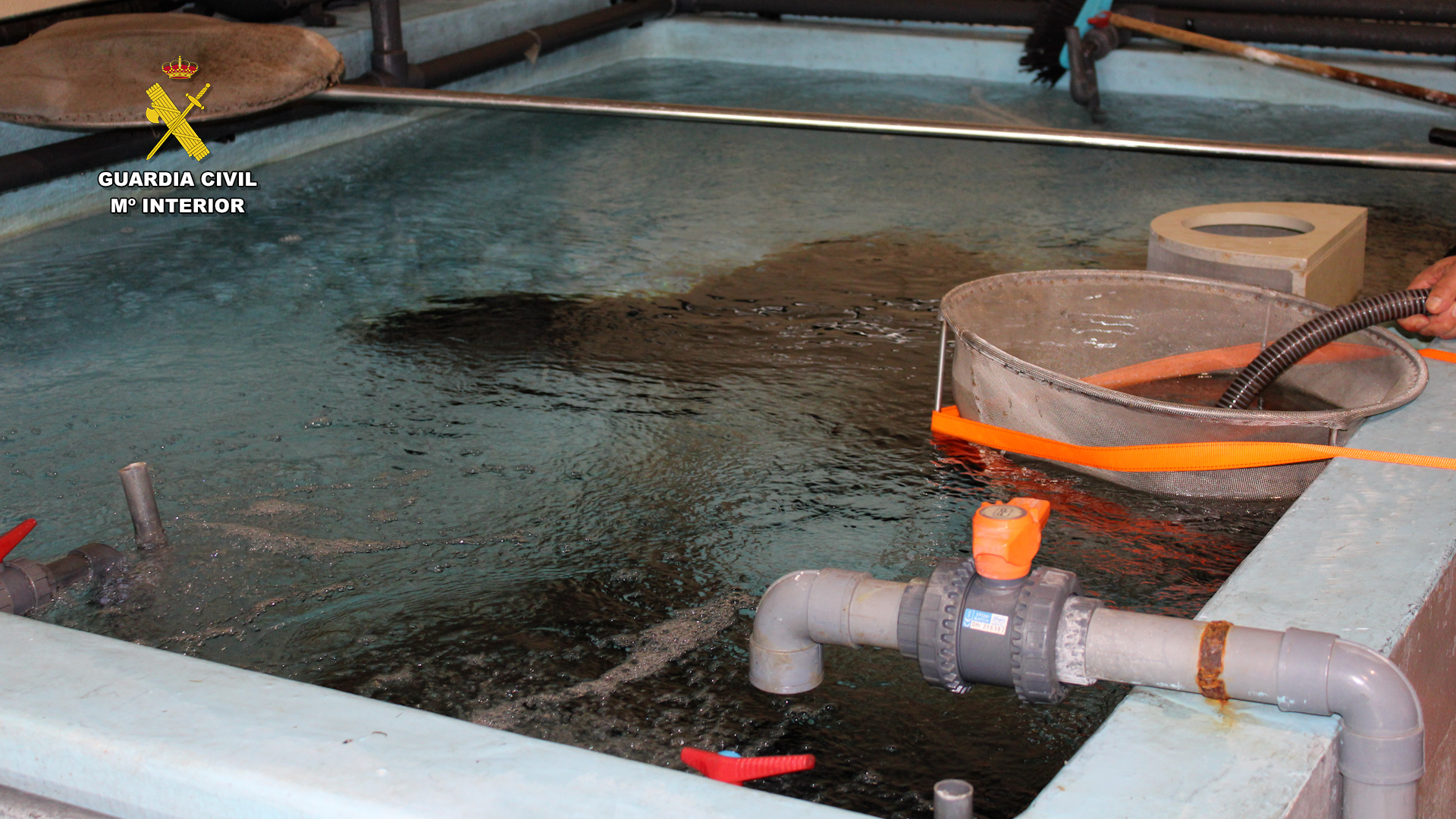 2023 08 31 op lake askea seprona 04