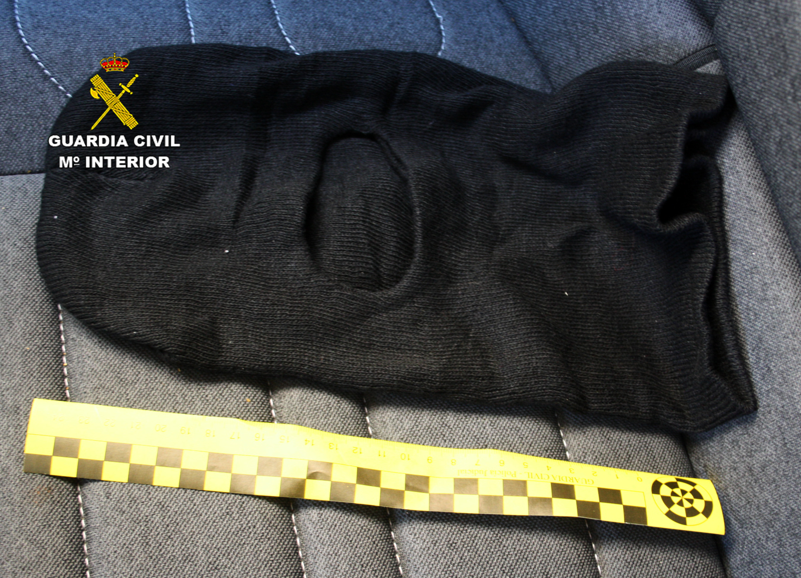 20230508 OP PURPURINO 01