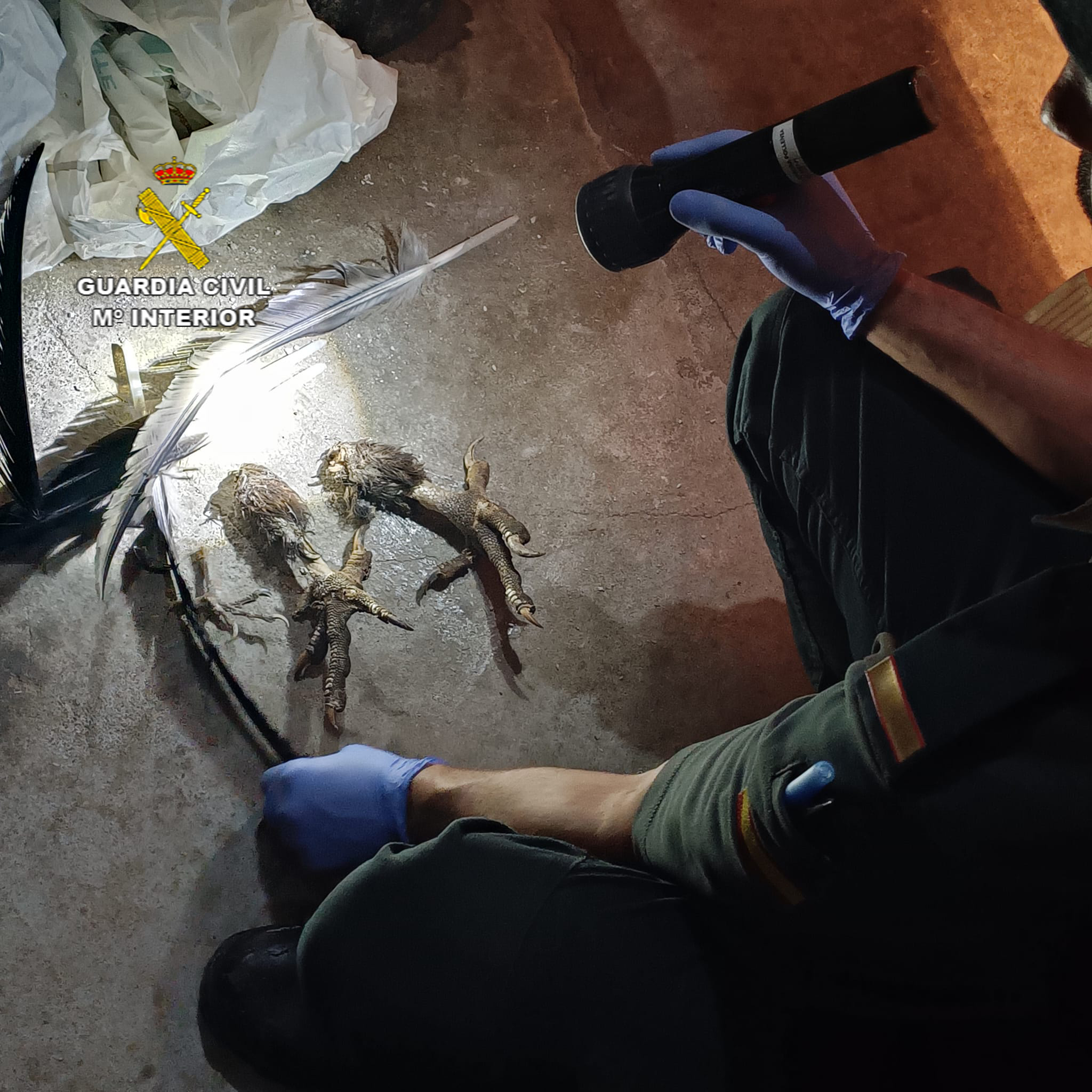 20230512 CONTRA LA FAUNA SILVESTRE 2