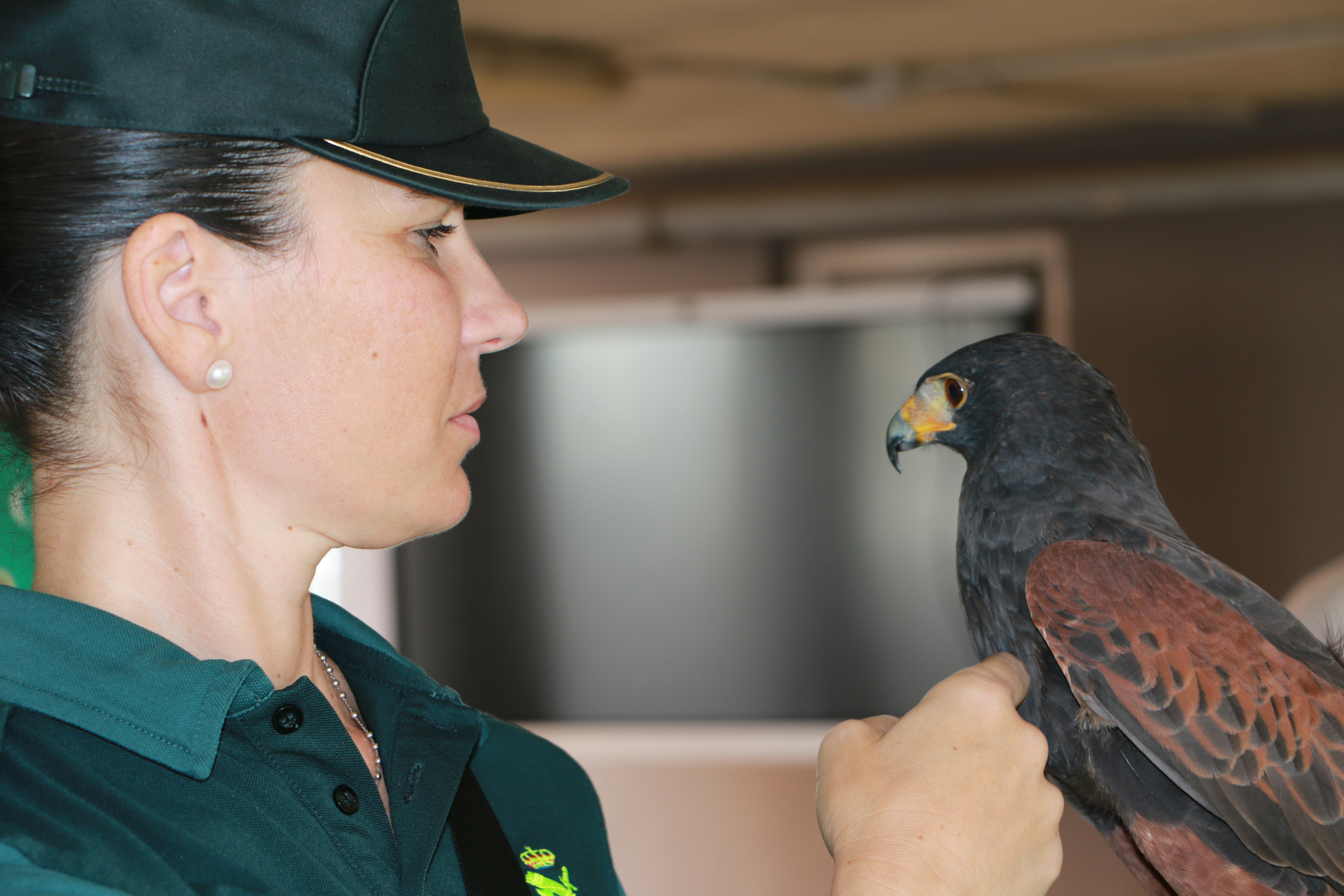 20230603 jornadas puertas abiertas