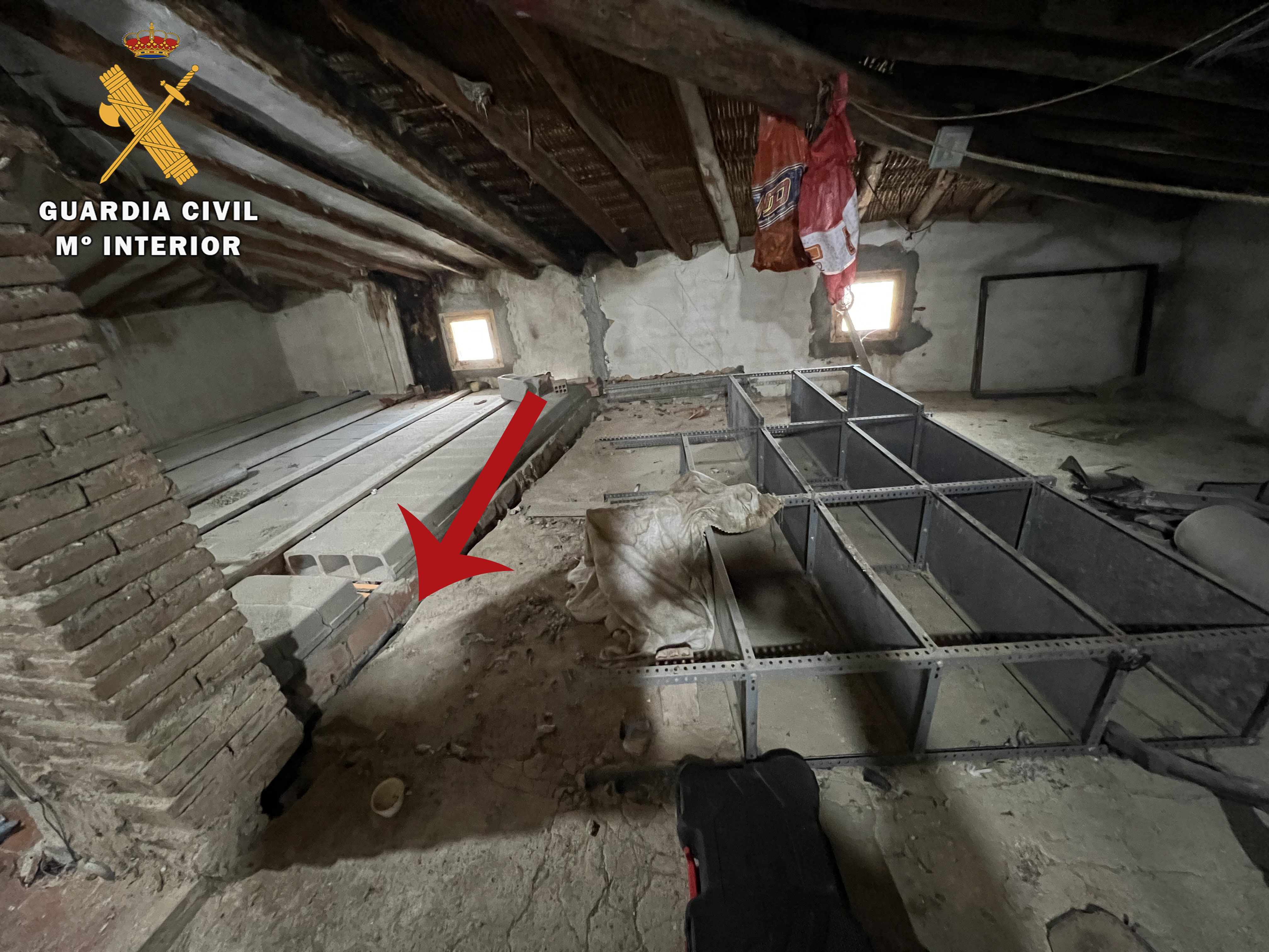 2023 OP 50 COCAINA 2