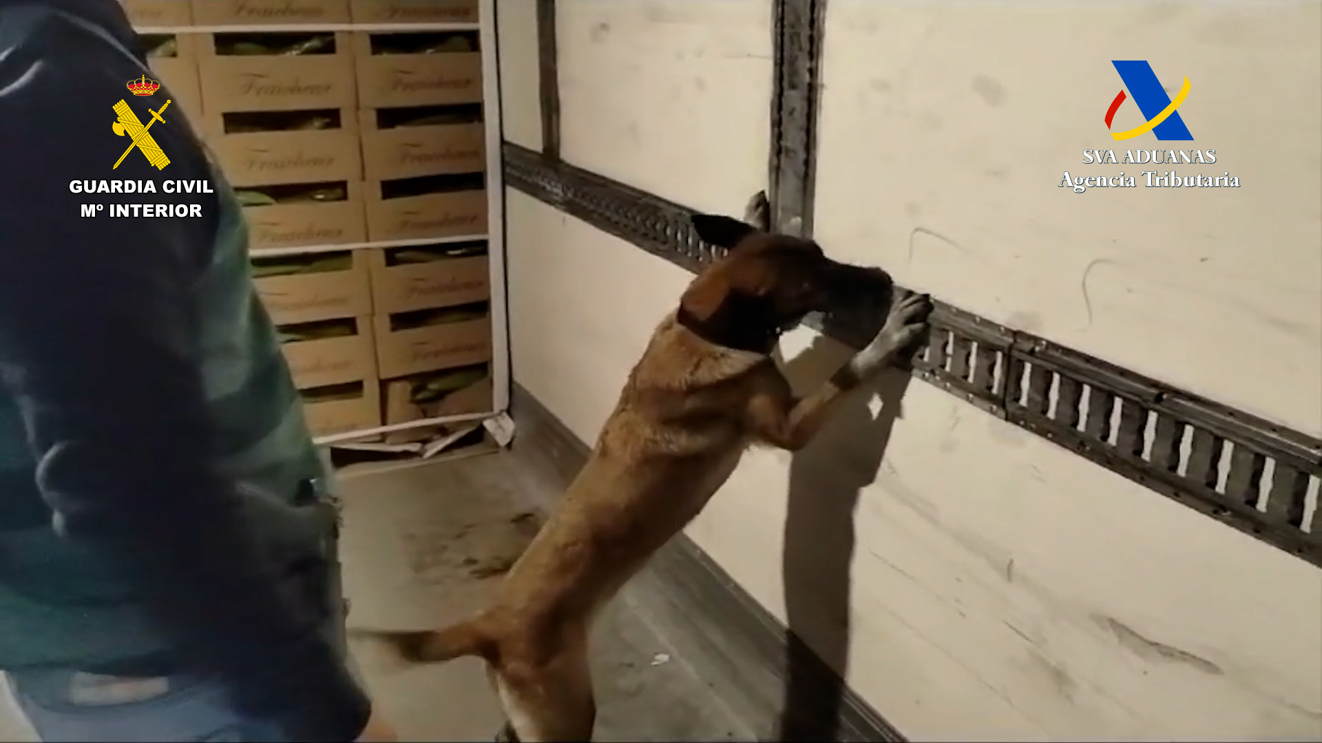 2024 03 09 droga malaga 03