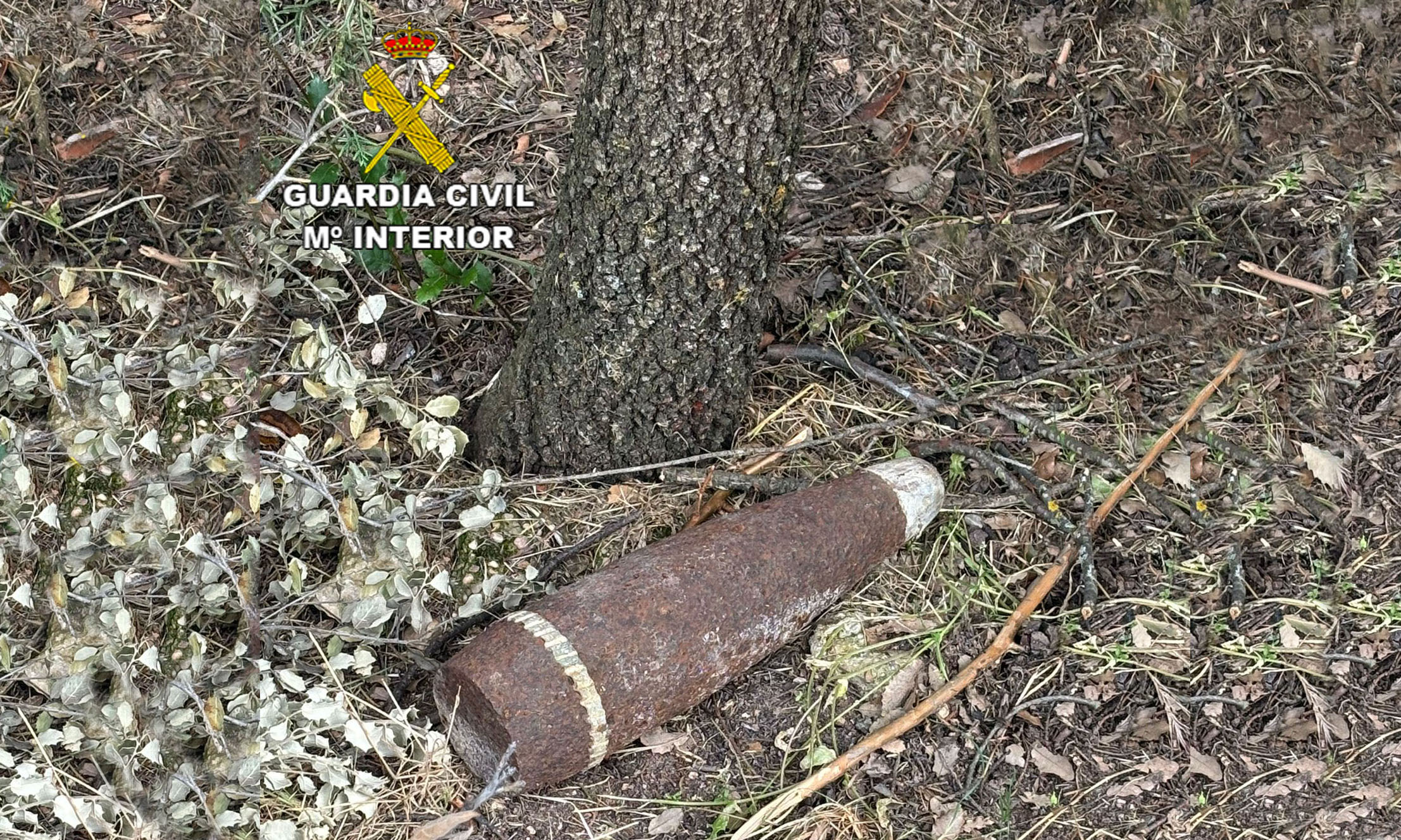 2024 07 03 Foto Prensa Proyectil