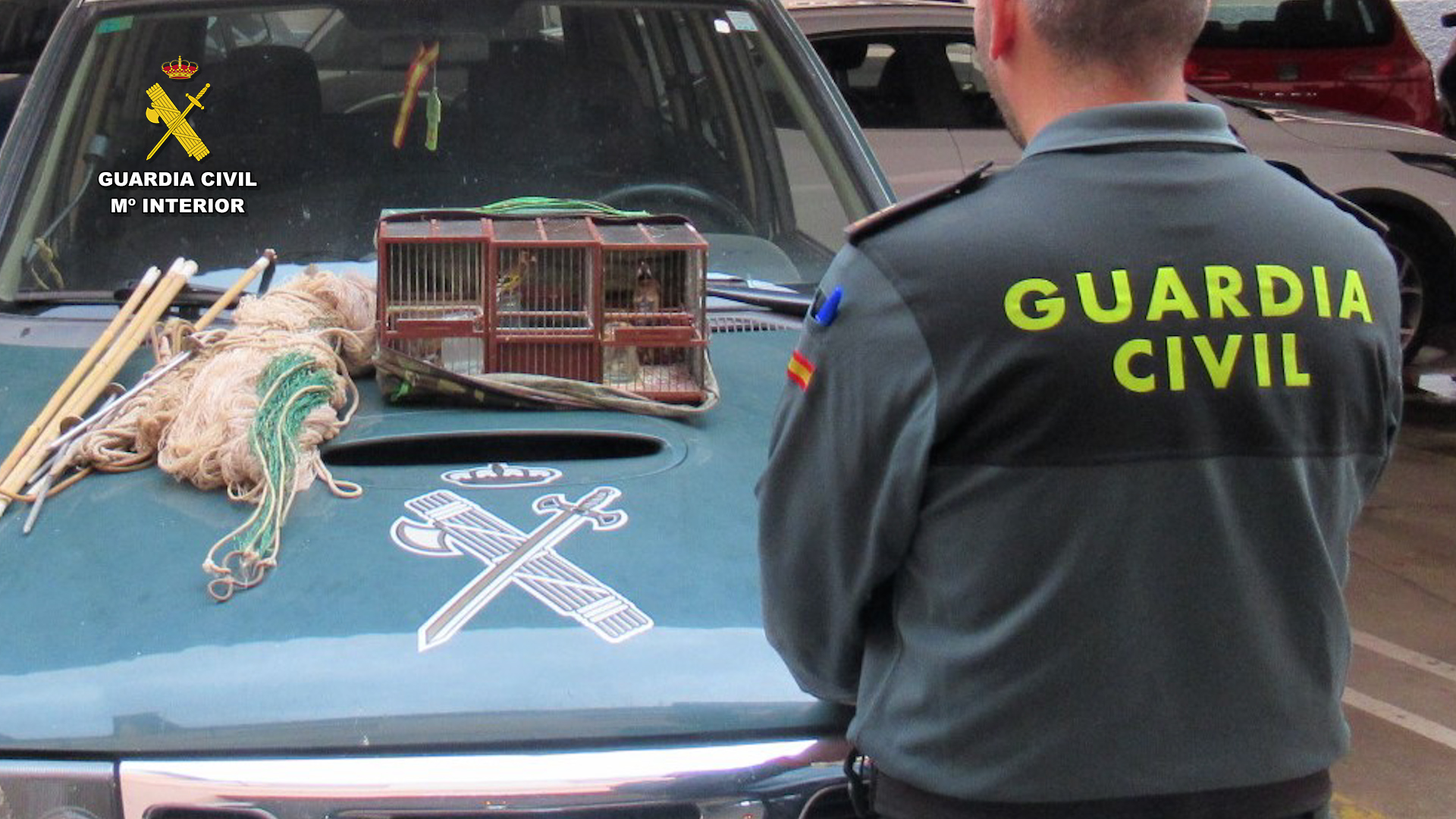 20240229 NP INVESTIGACION FURTIVO AVES AGUILAS SPN 6