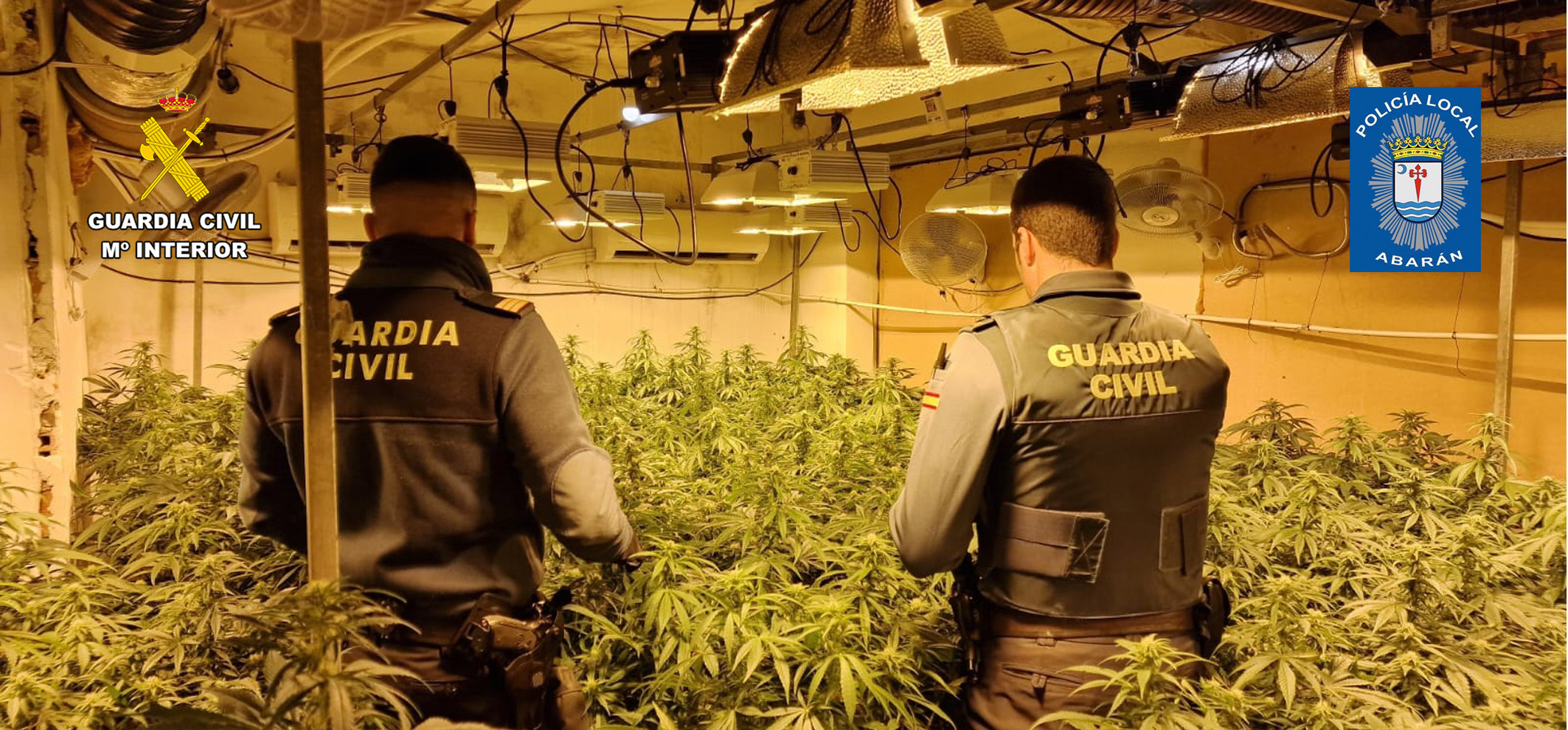 20240302 DETENIDOS MARIHUANA ABARAN ARCHENA GC Y PL 05