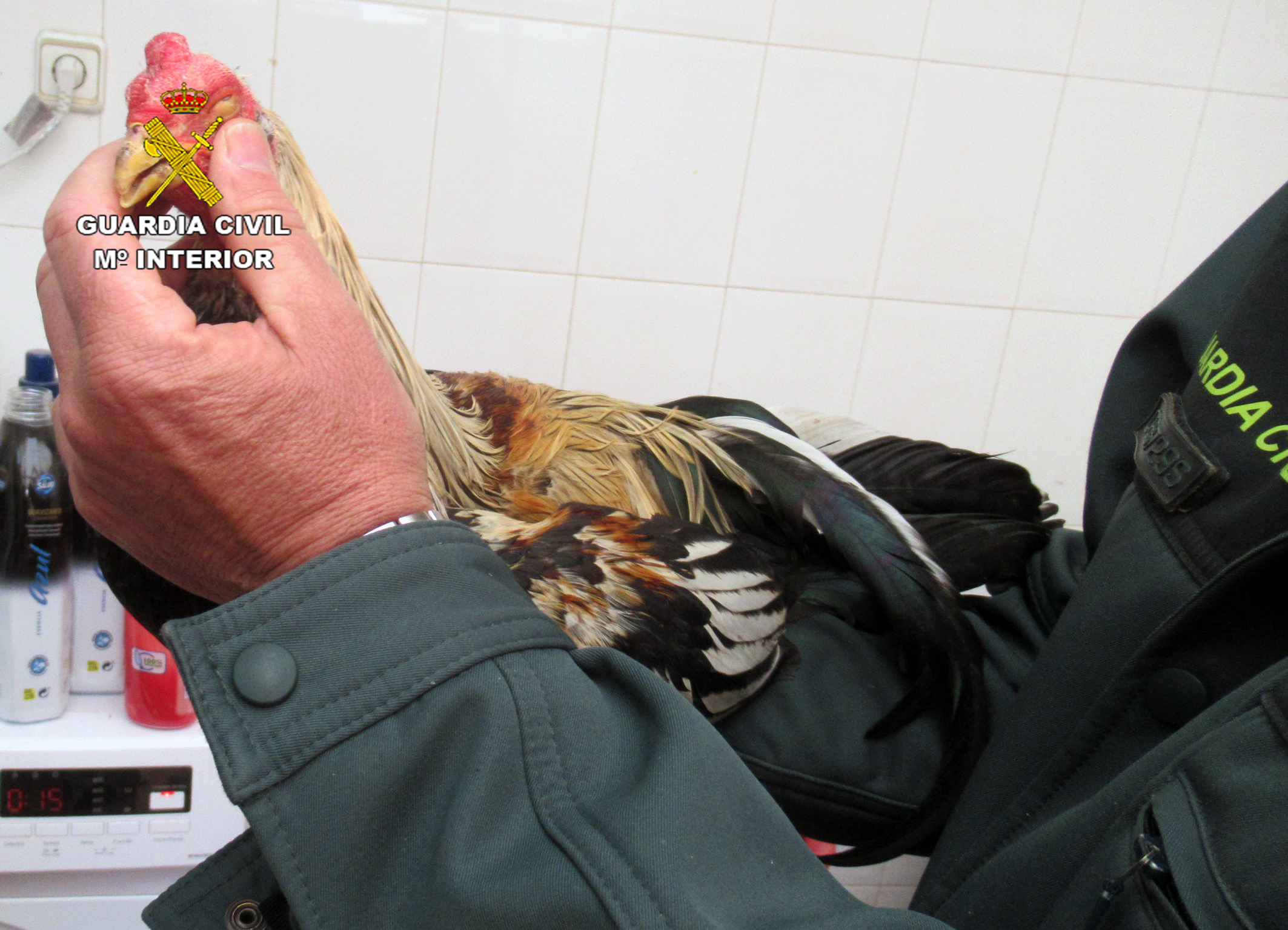 20240416 MALTRATO ANIMAL CABEZO DE TORRES