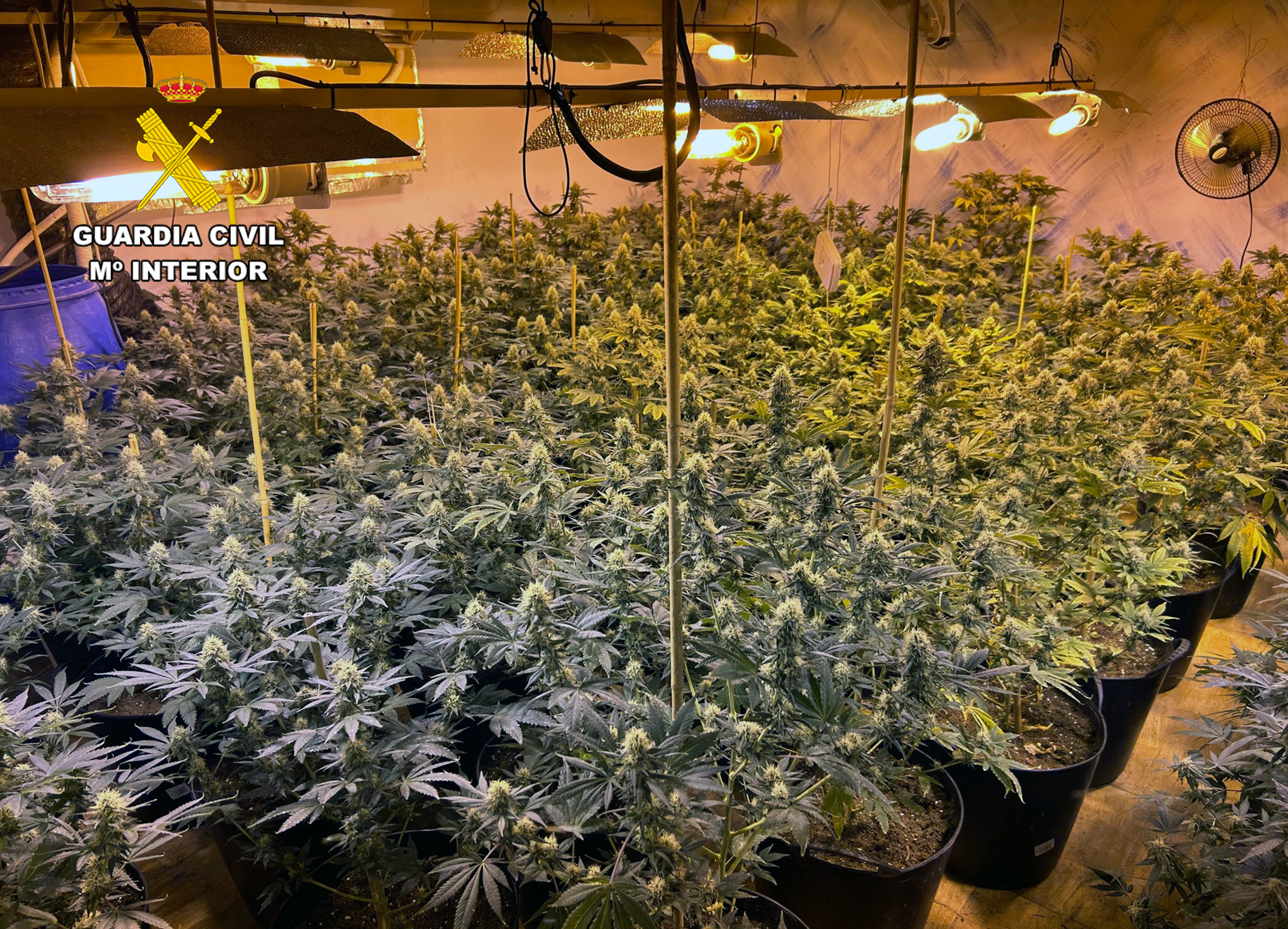 20240425 OP TOCAYO DETENIDOS PRV Y DROGA LTC 04