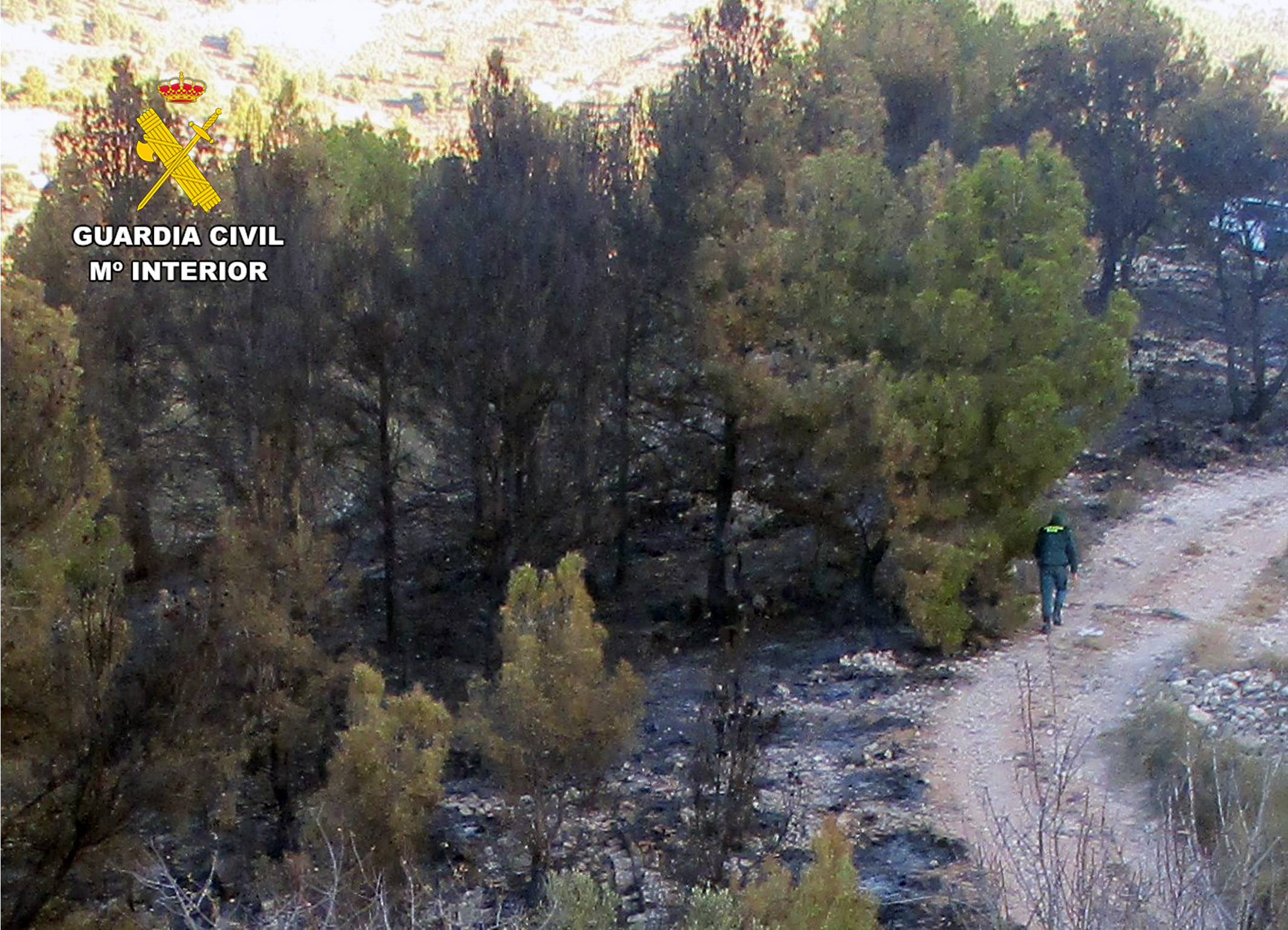 20240502 INVESTIGADO INCENDIO FORESTAL PPN LORCA 02
