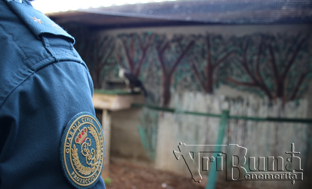 20240828 inspeccion seprona marca de agua