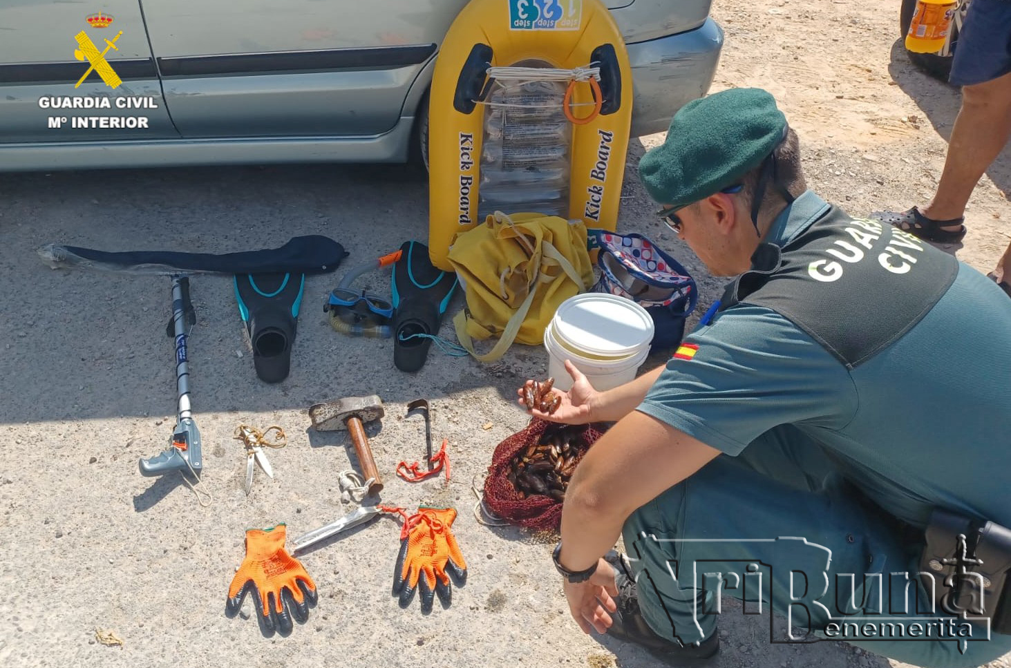 20240902 Seprona Datiles de Mar