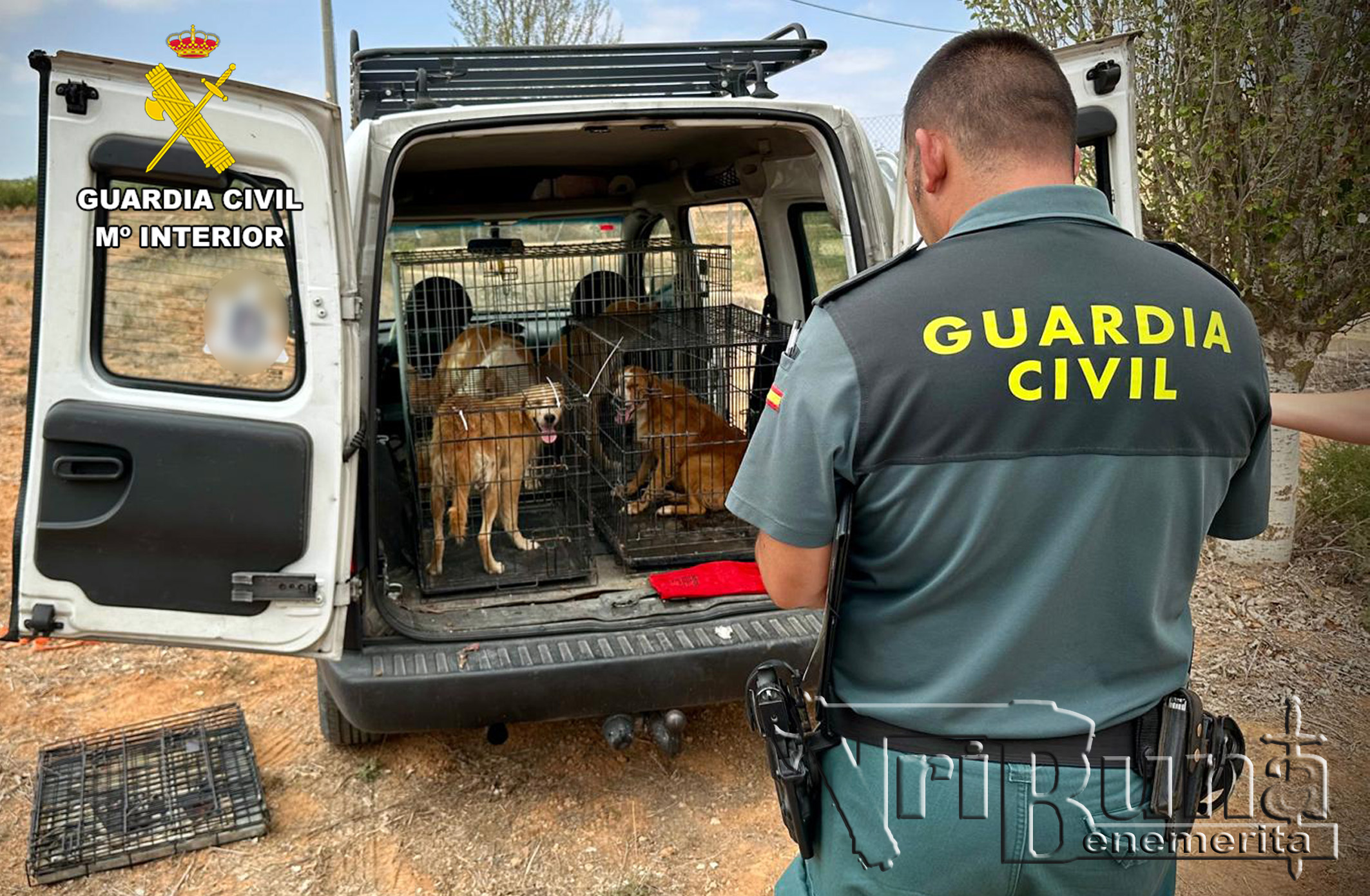 20240913 OP VIDA ABANDONO ANIMALPPN ALHAMA 04