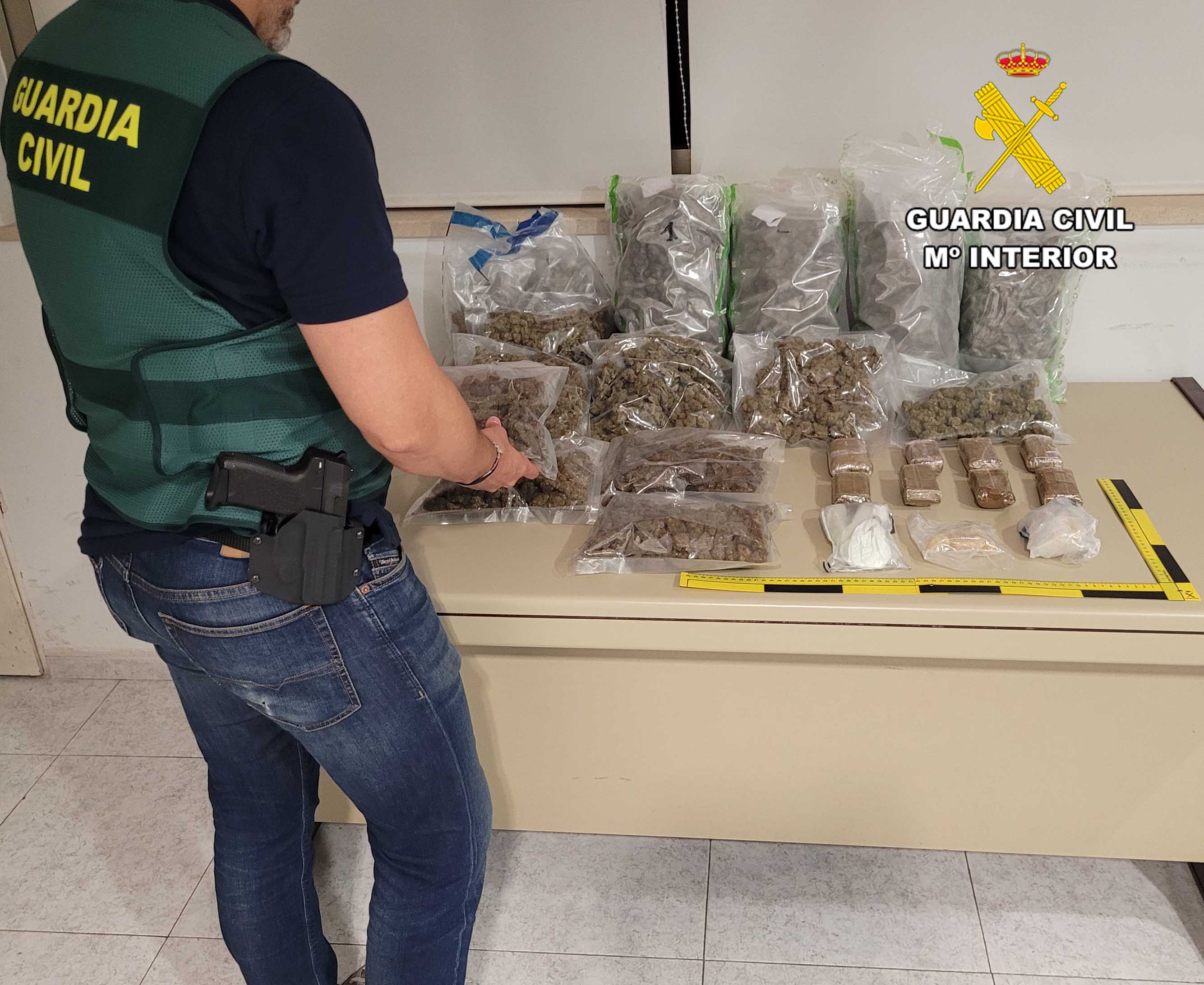 202410 paquetes odaifi