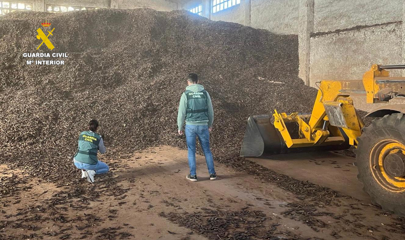 20241205 ROCA algarrobas