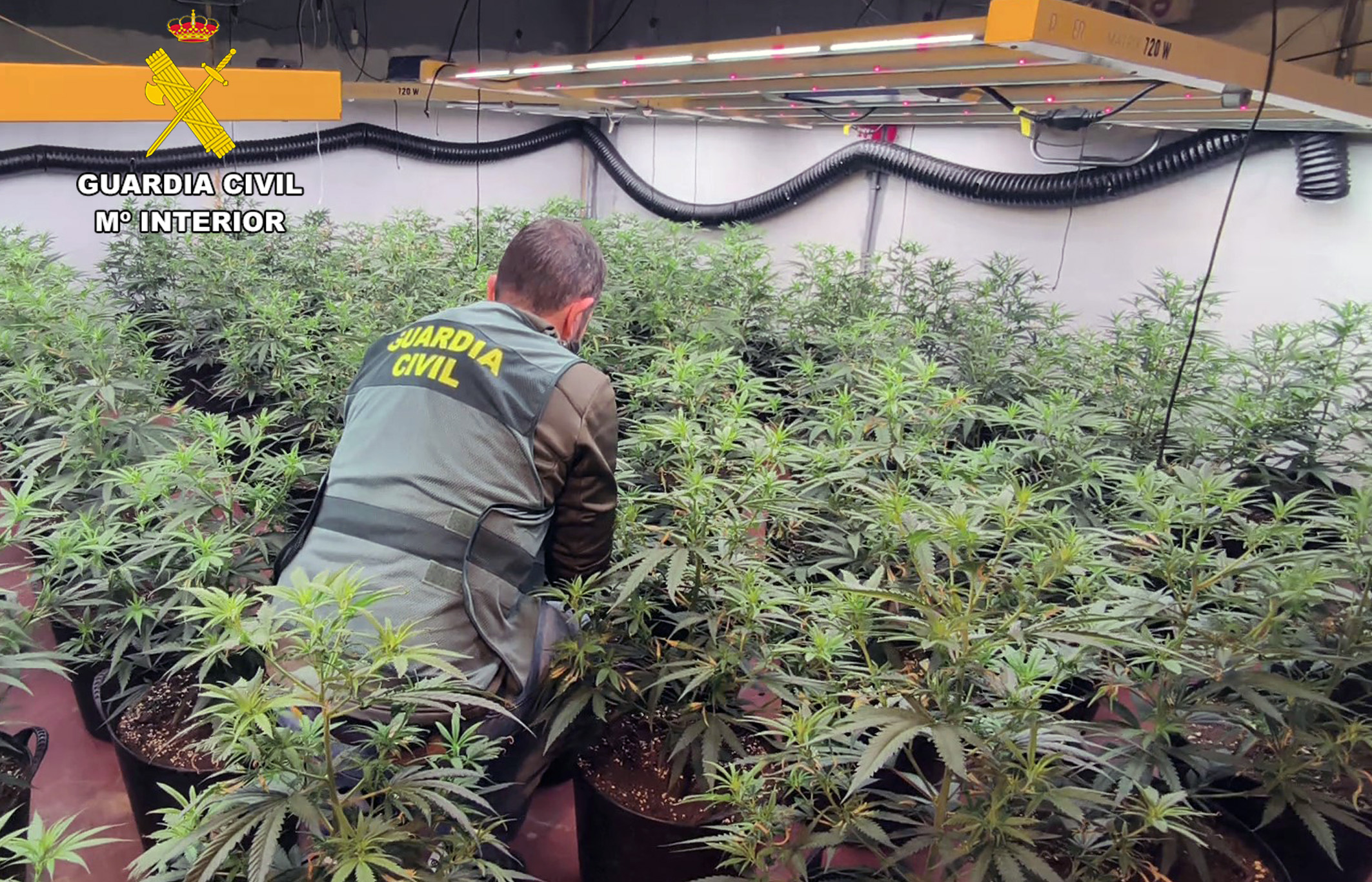 20241210 OP MEKATI TRAFICO DROGA ALCAZARES PPL TP 01