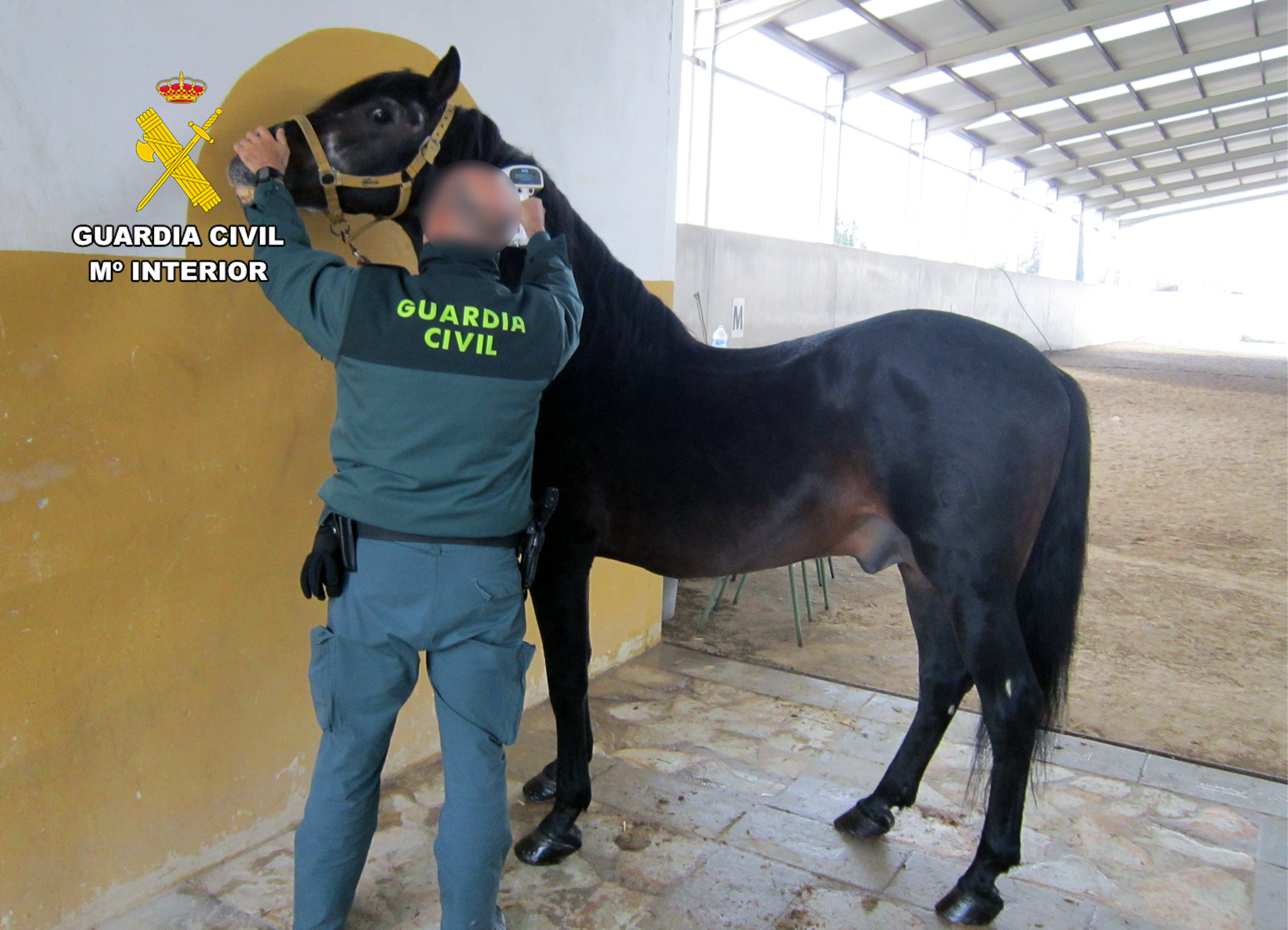 20241219 OP CABIANO INVESTIGADO FALSEDAD DOC CABALLOS SPN 02