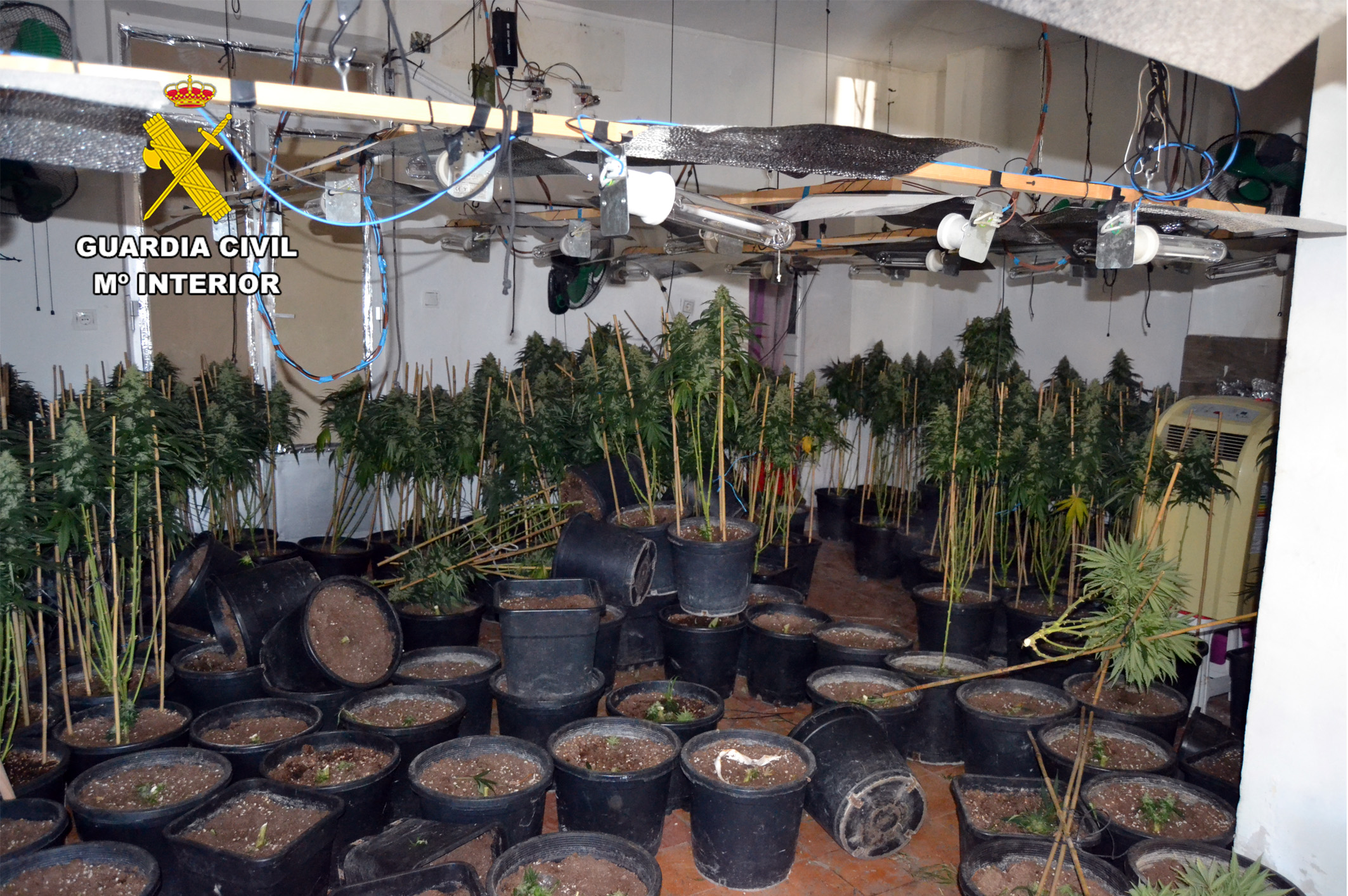 20250428 DETENIDOS TRAFICO DROGA MARIHUANA CIEZA 02