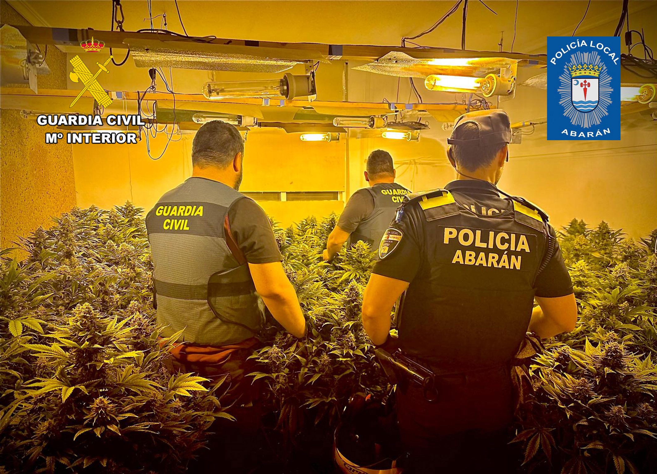 20250605 OP MANENSI TRAFICO DROGA ABARAN AI ARCHENA Y PL 01