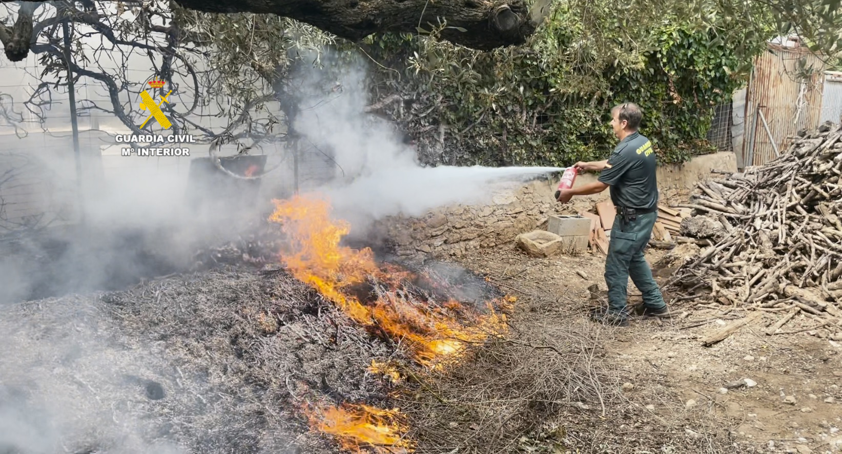 20250609 Incendio Seprona