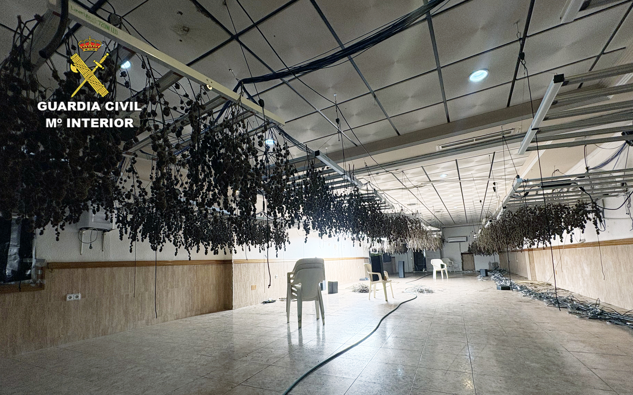 20251230 op Redsin marihuana Casillas 01