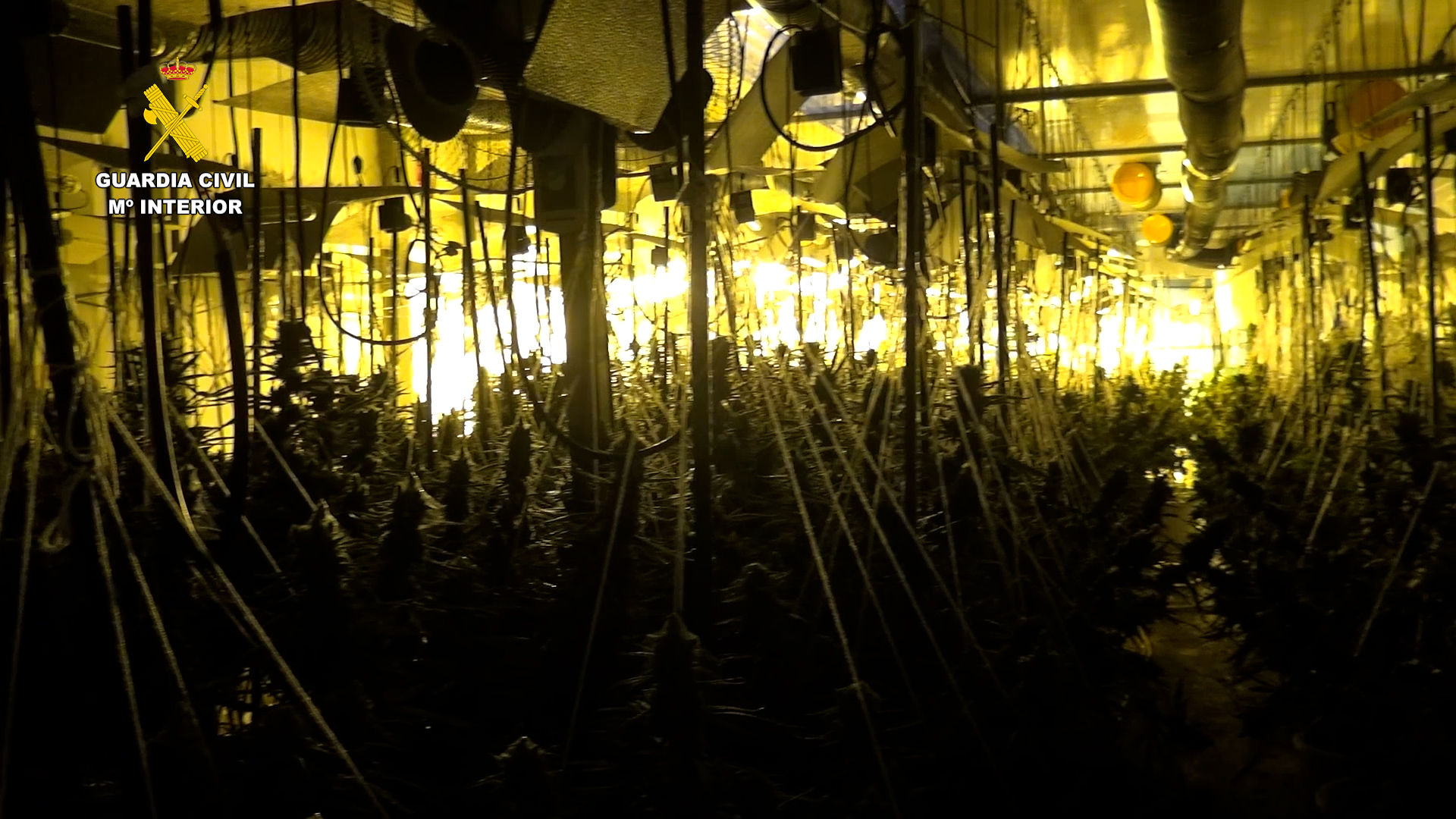 2025 05 06 OP MACAGUA 04