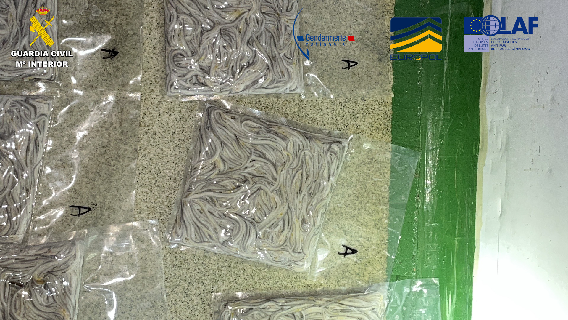 2026 03 22 op putzua seprona 3