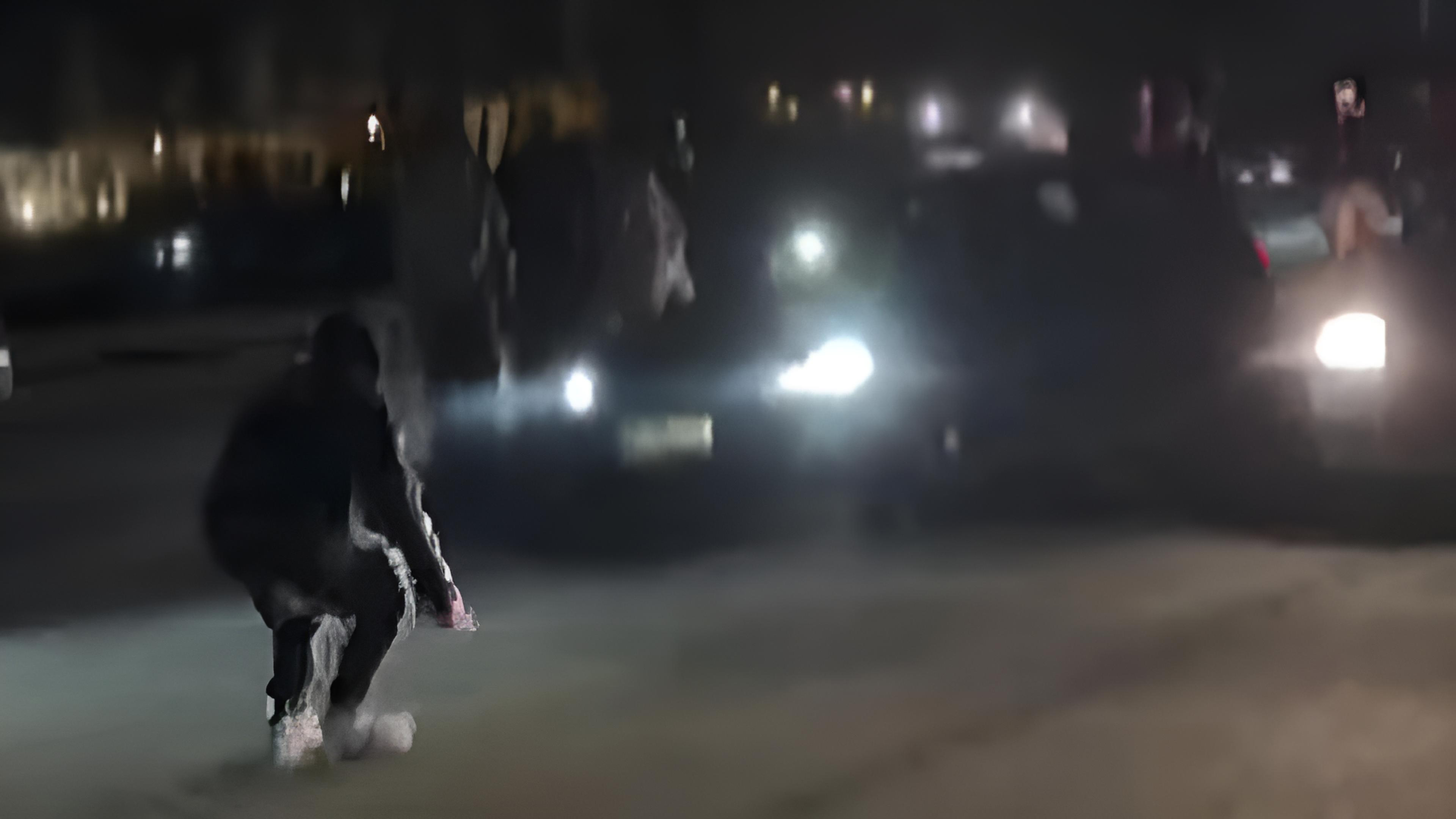 2026 04 04 La Rioja carreras ilegales 01