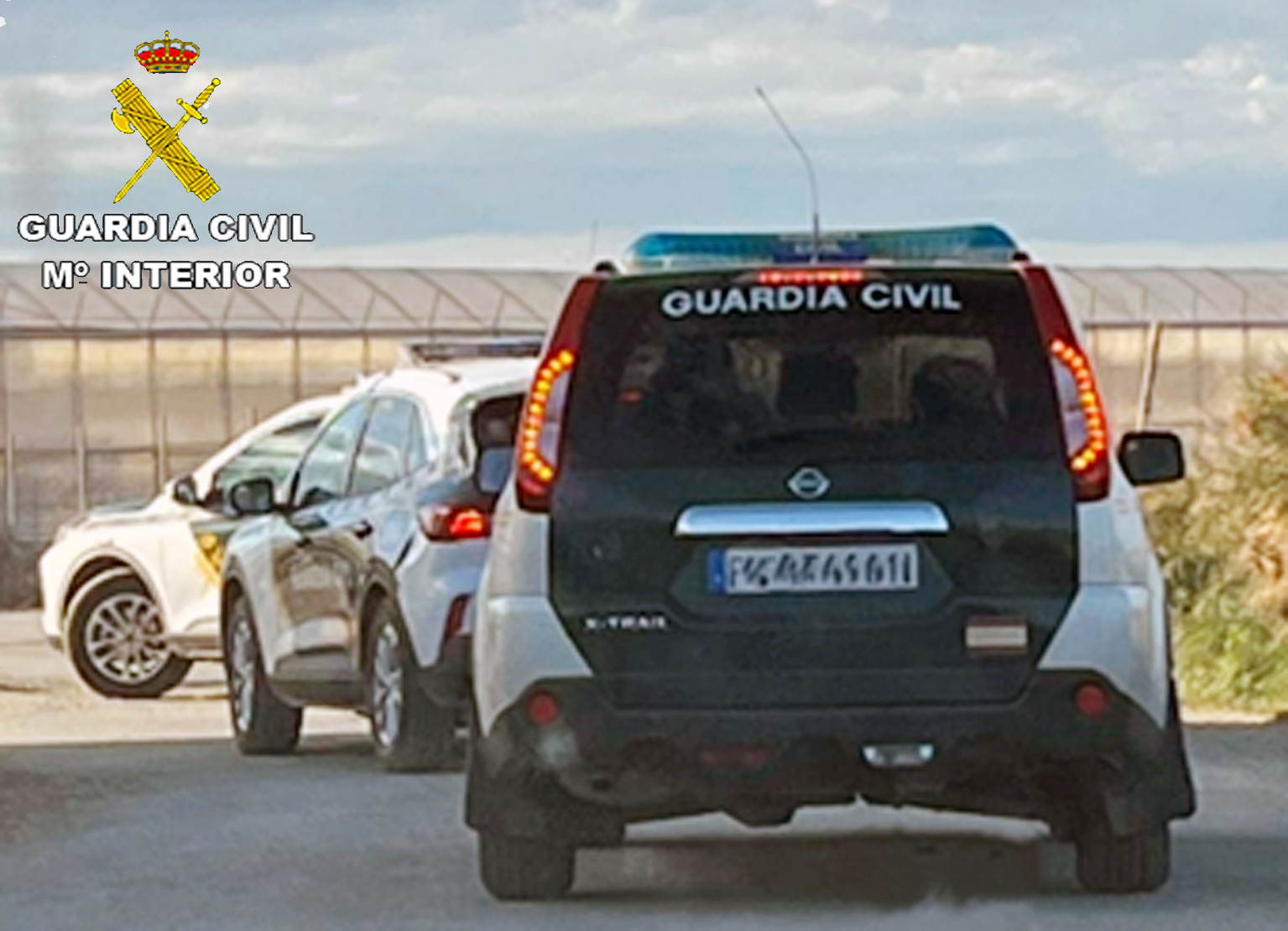 20260102 OP DIACAMPO 01