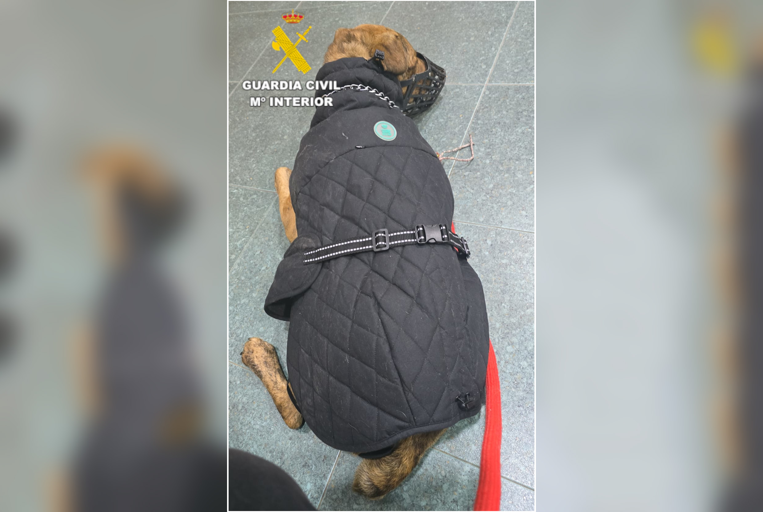 20260331 SEPRONA 310326