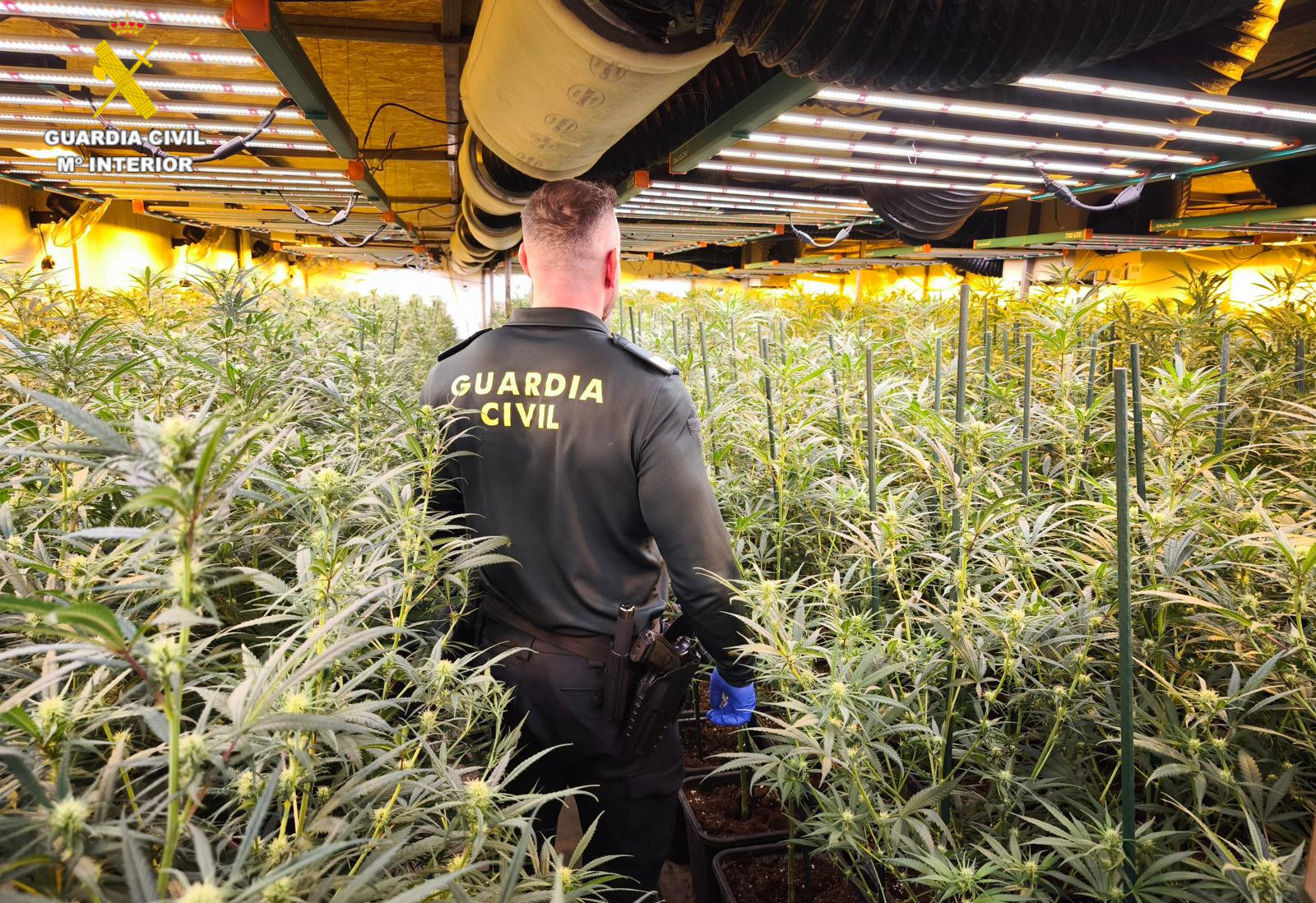 20260401 ROCA VINAROZ DROGAS