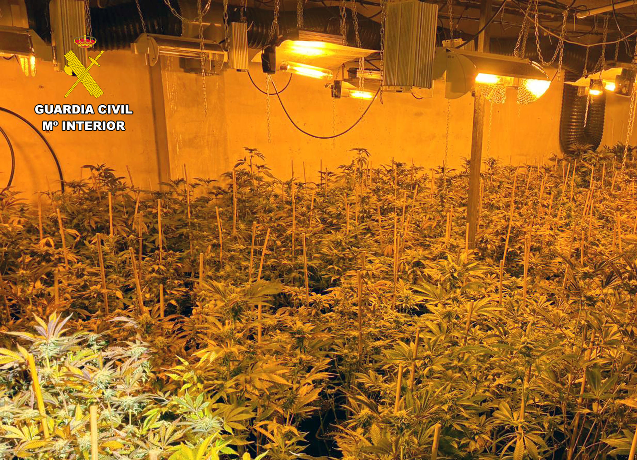 20260416 Op Persiles 01